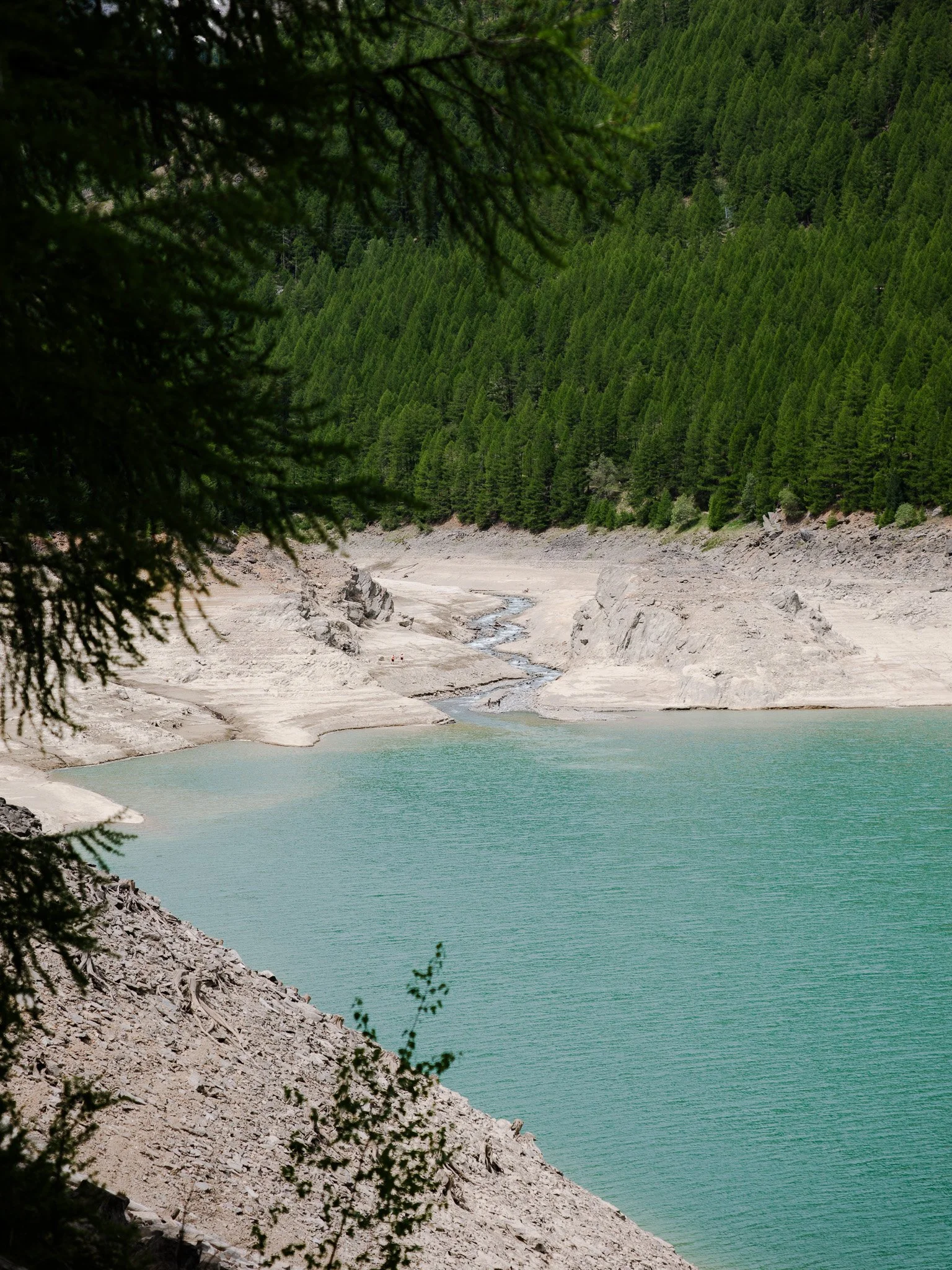 L1000960.jpg