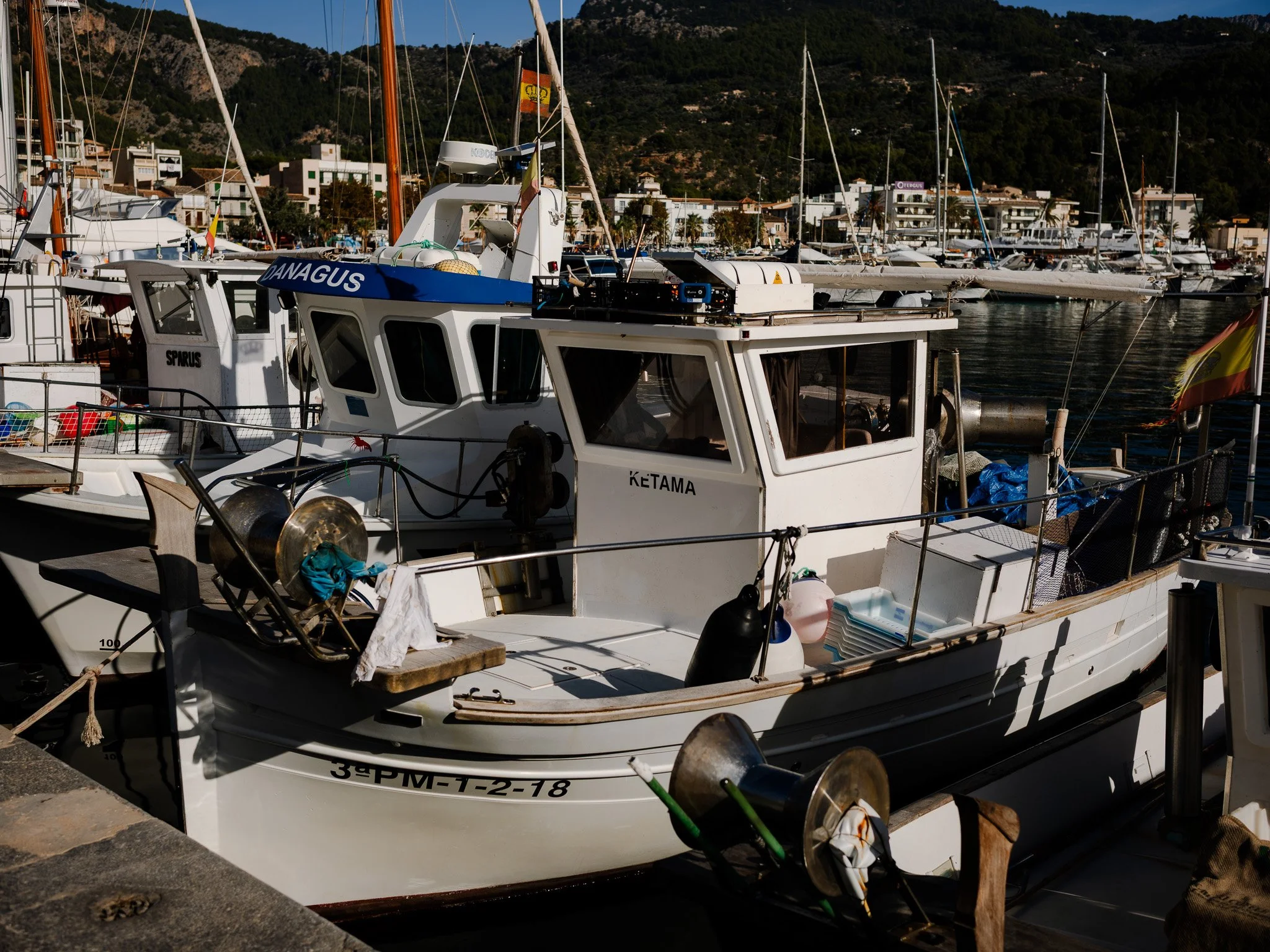 L1008685.jpg