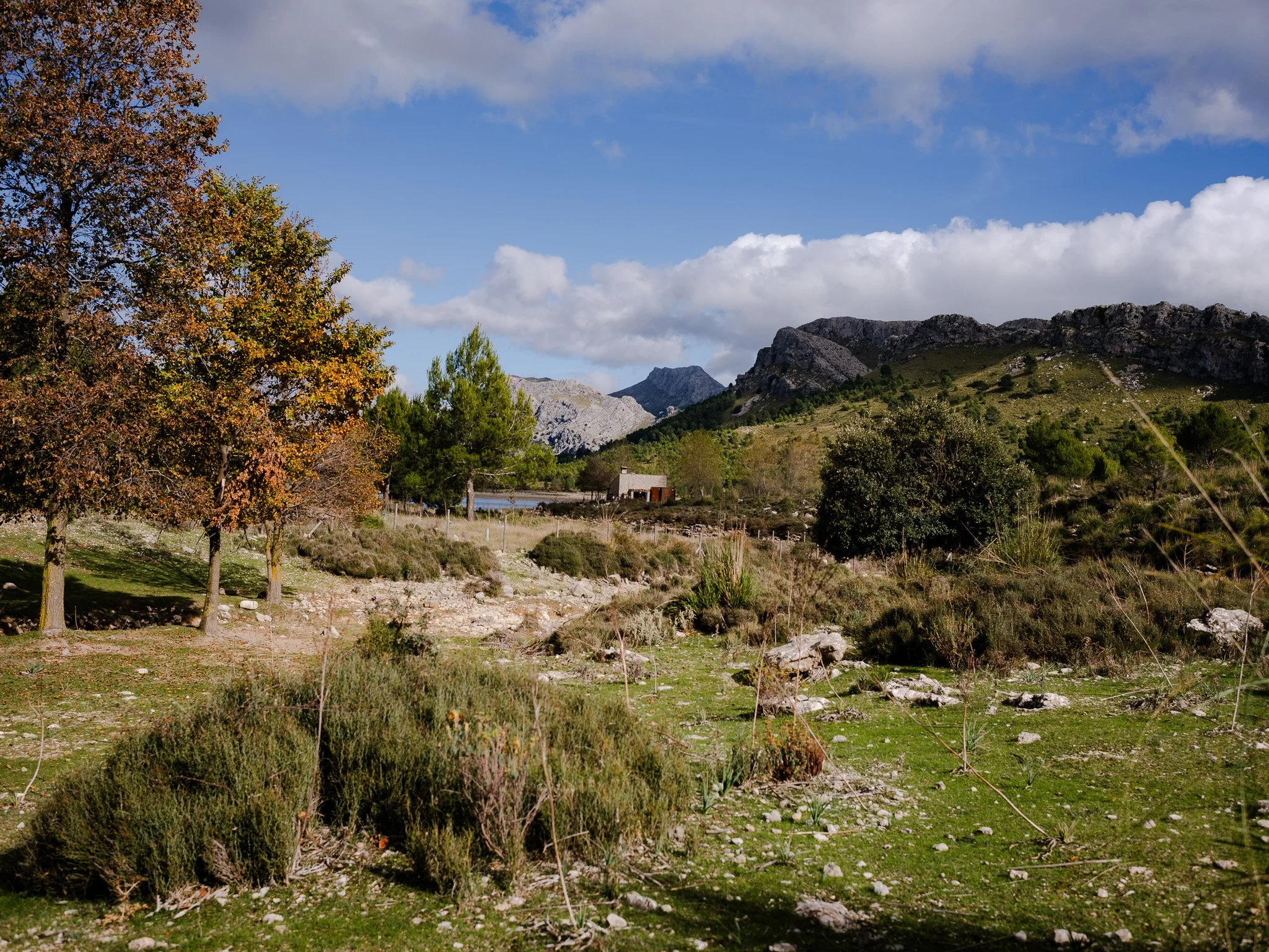 L1008878.jpg
