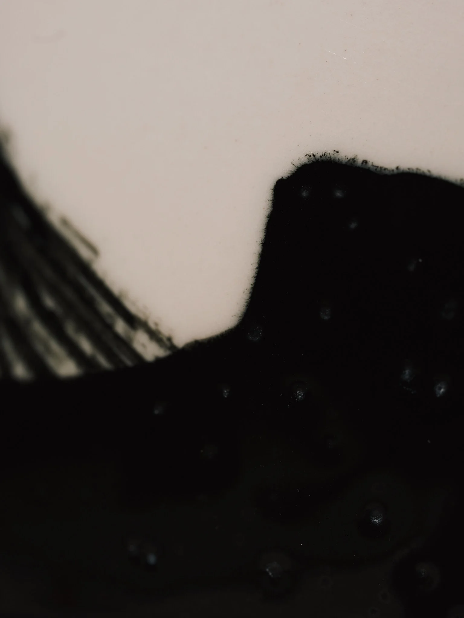 L1003366.jpg