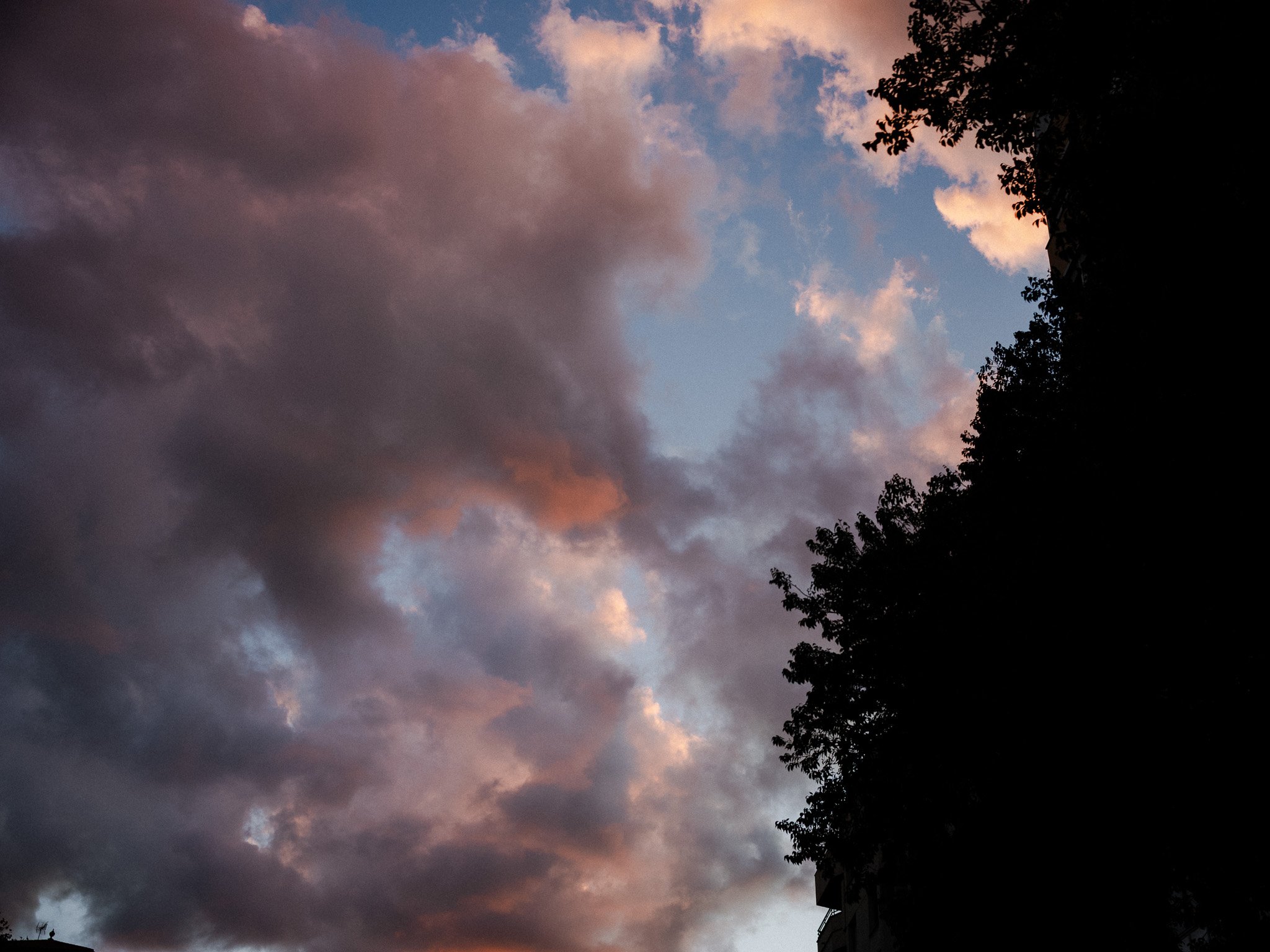 L1008989.jpg