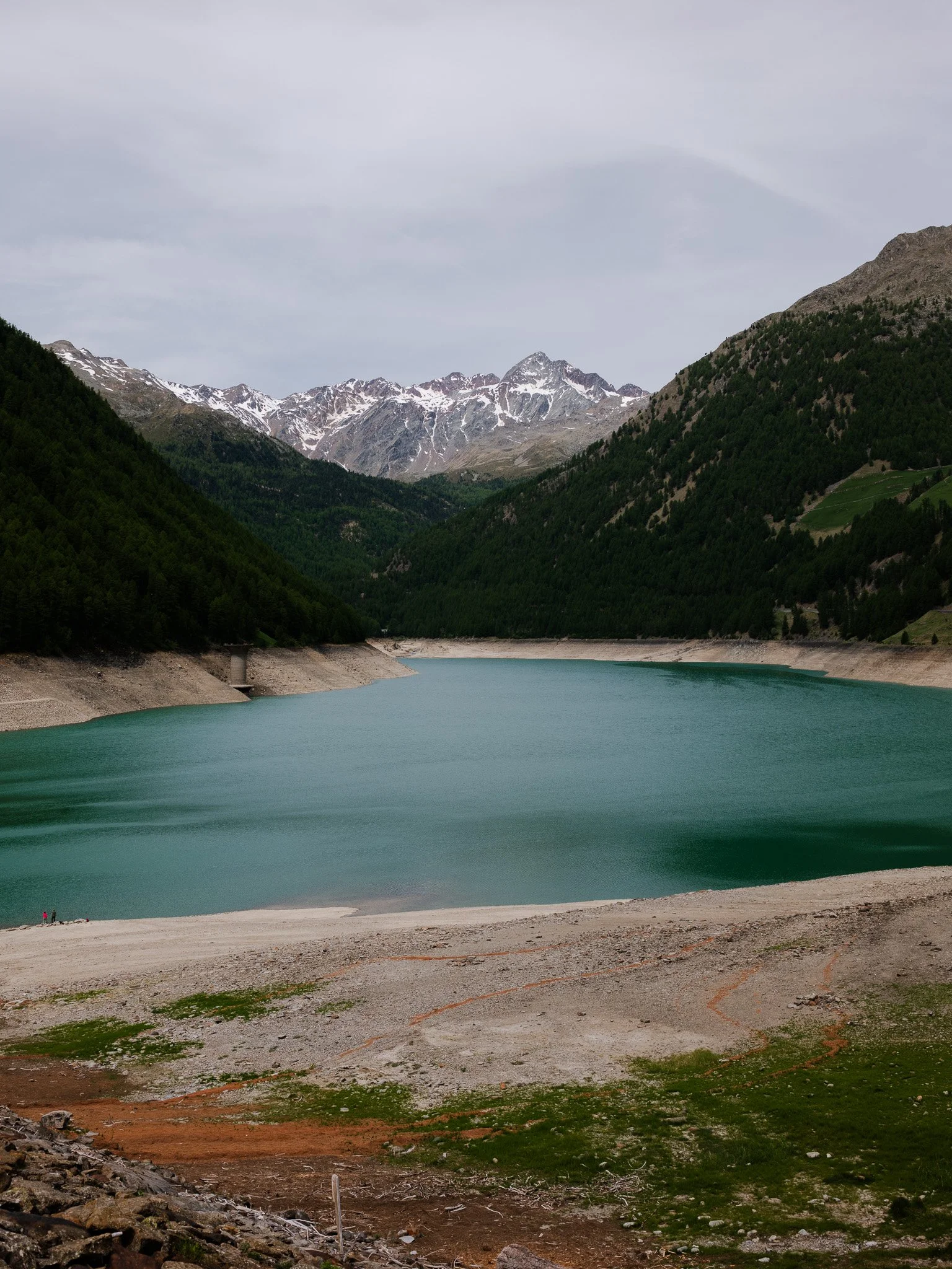 L1000937.jpg