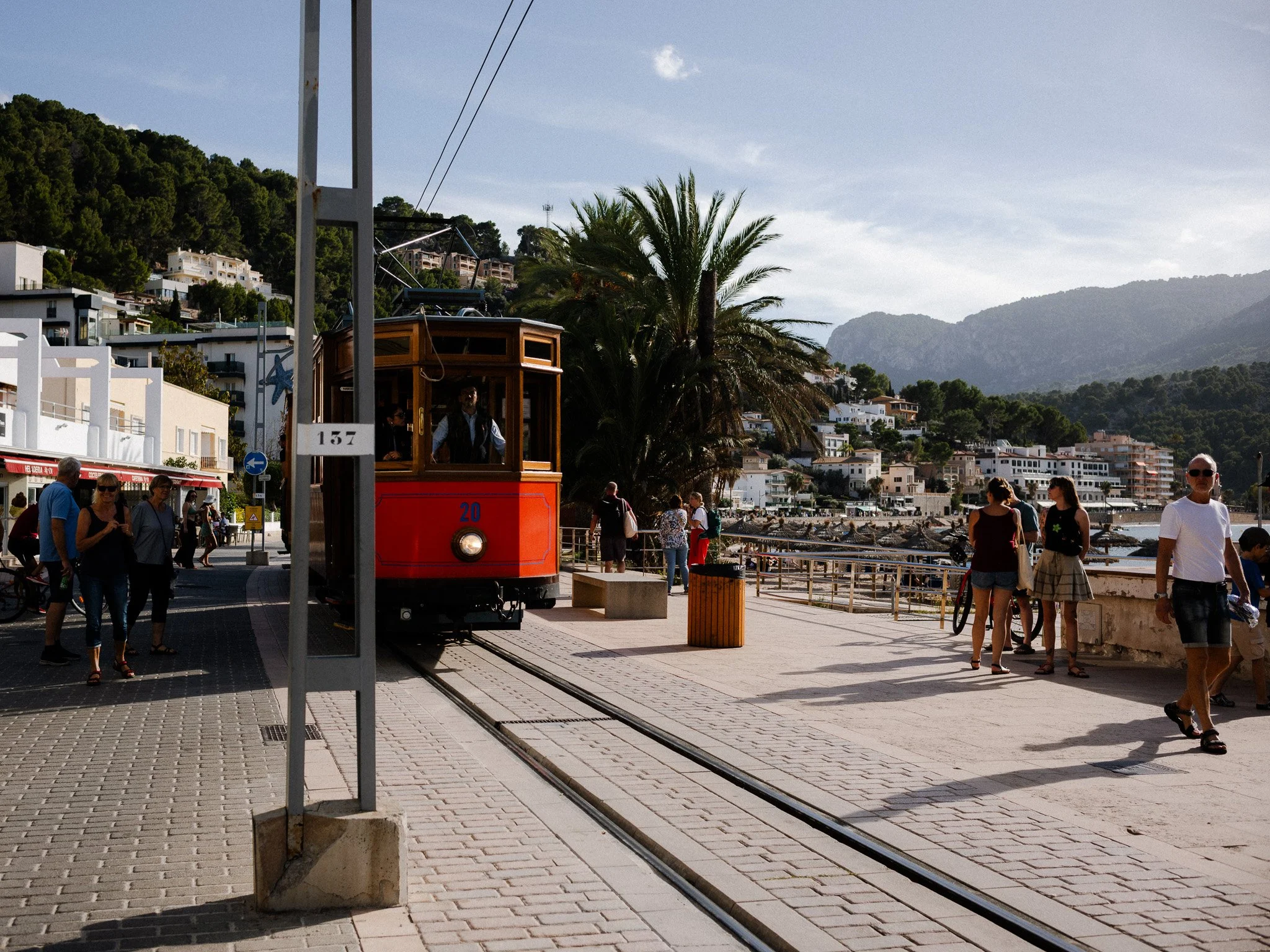 L1008692.jpg