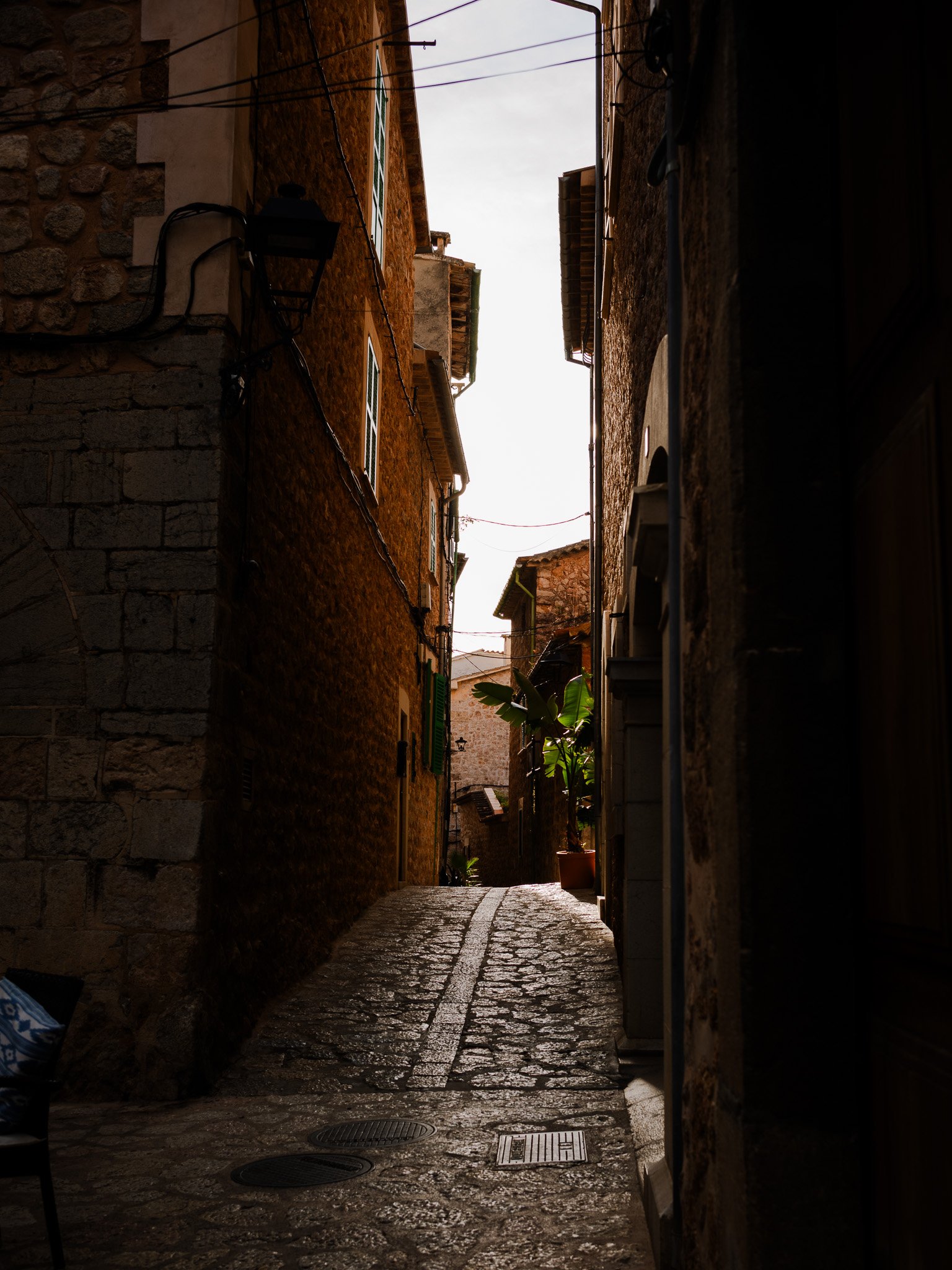 L1008703.jpg