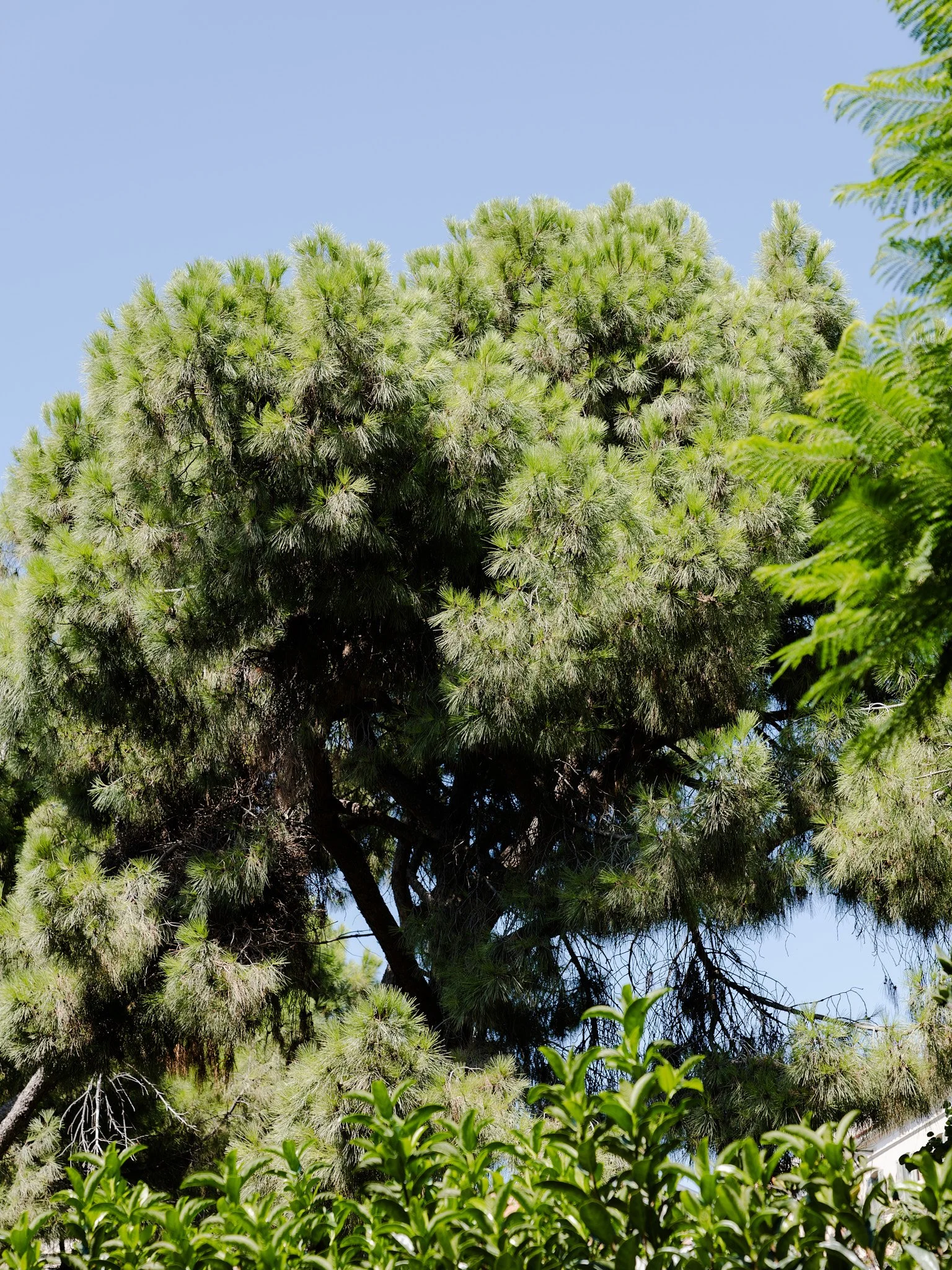 P1000344.jpg