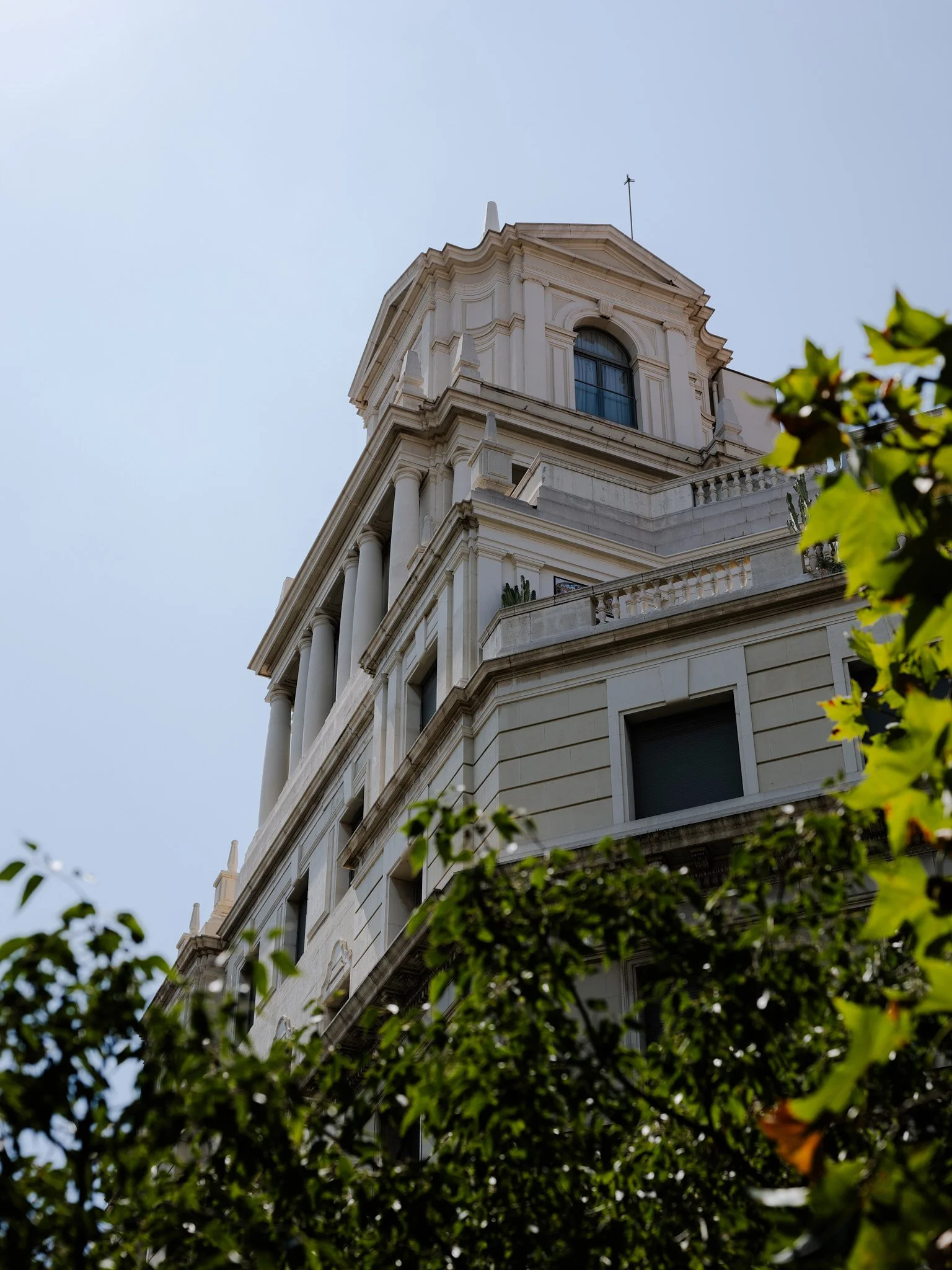 P1000201.jpg