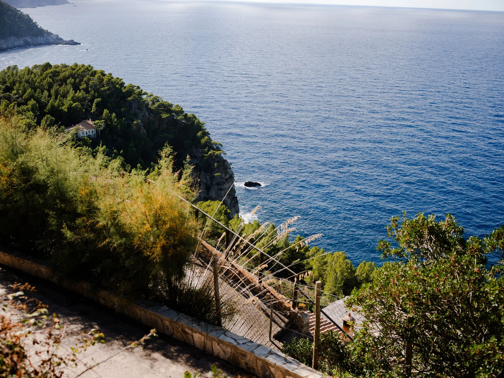 L1009106.jpg