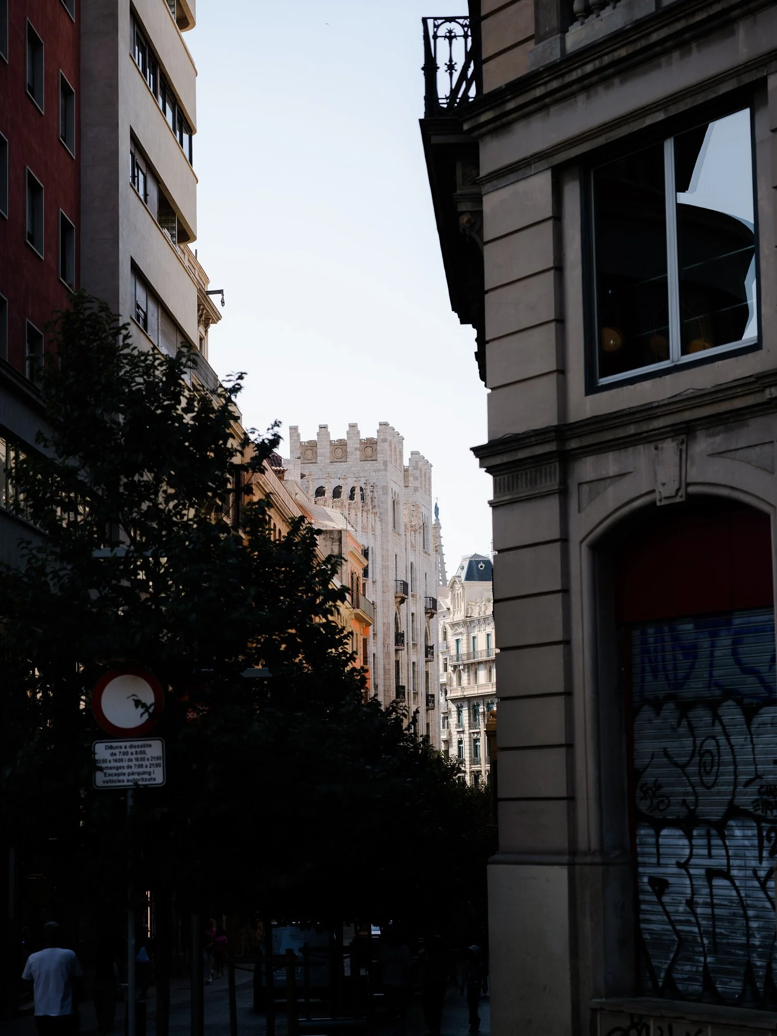 P1000095.jpg