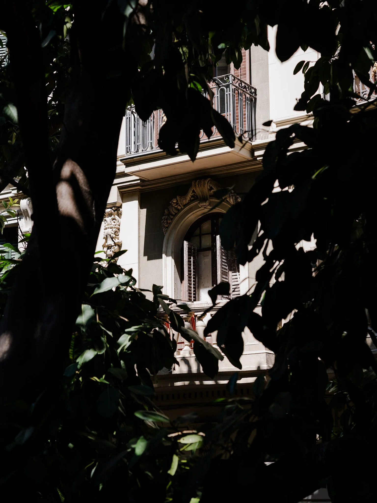 P1000586.jpg