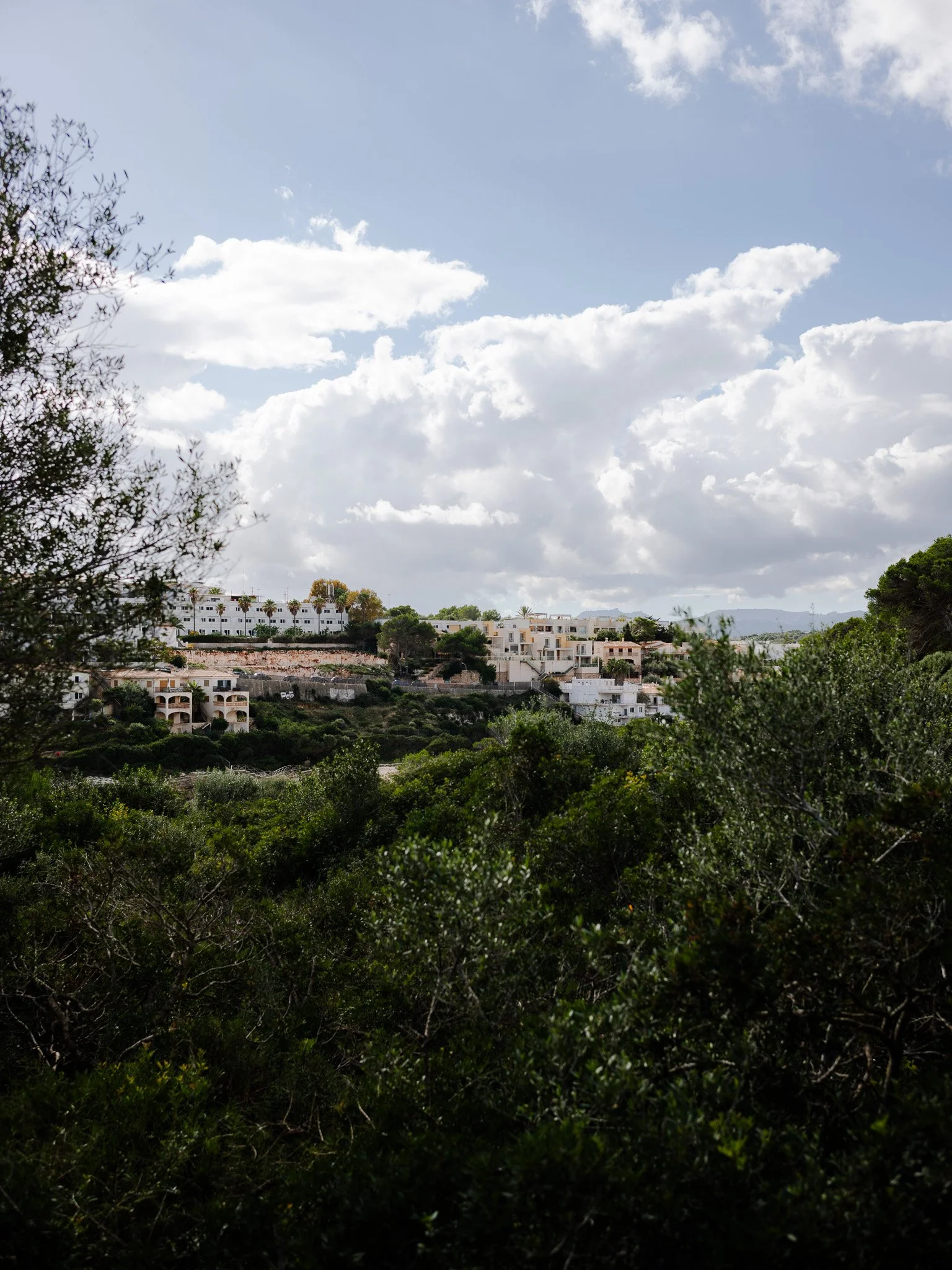 L1008745.jpg