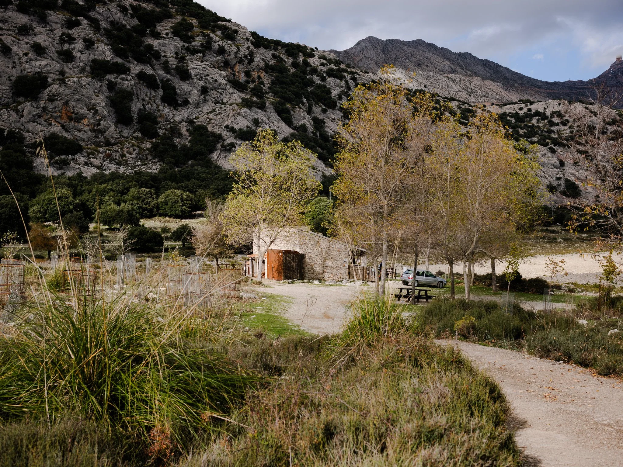 L1008869.jpg