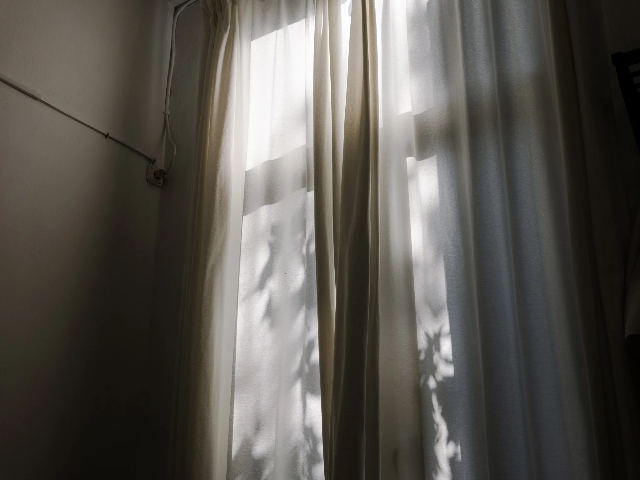 P1000593.jpg
