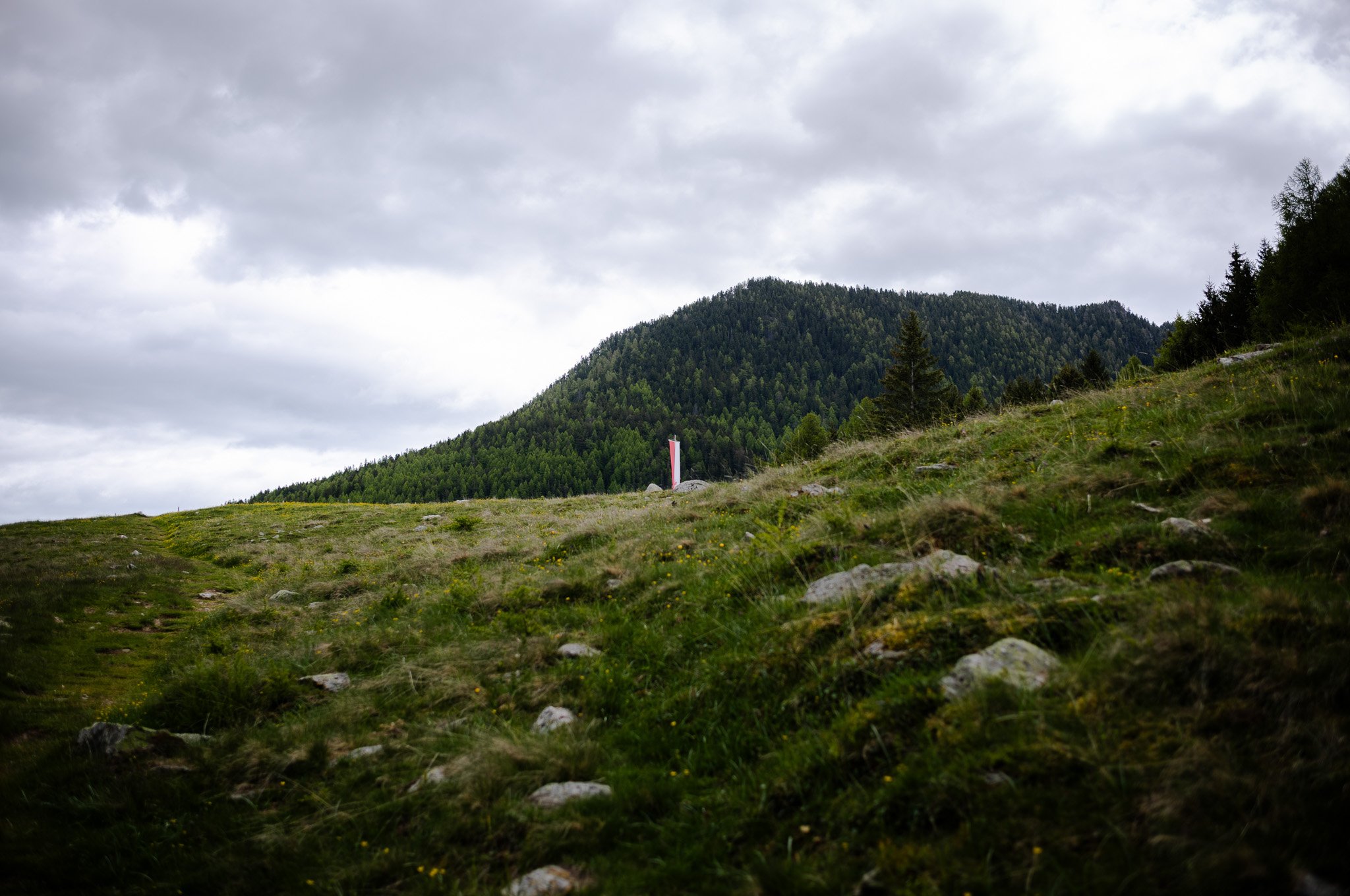 L1008678.jpg