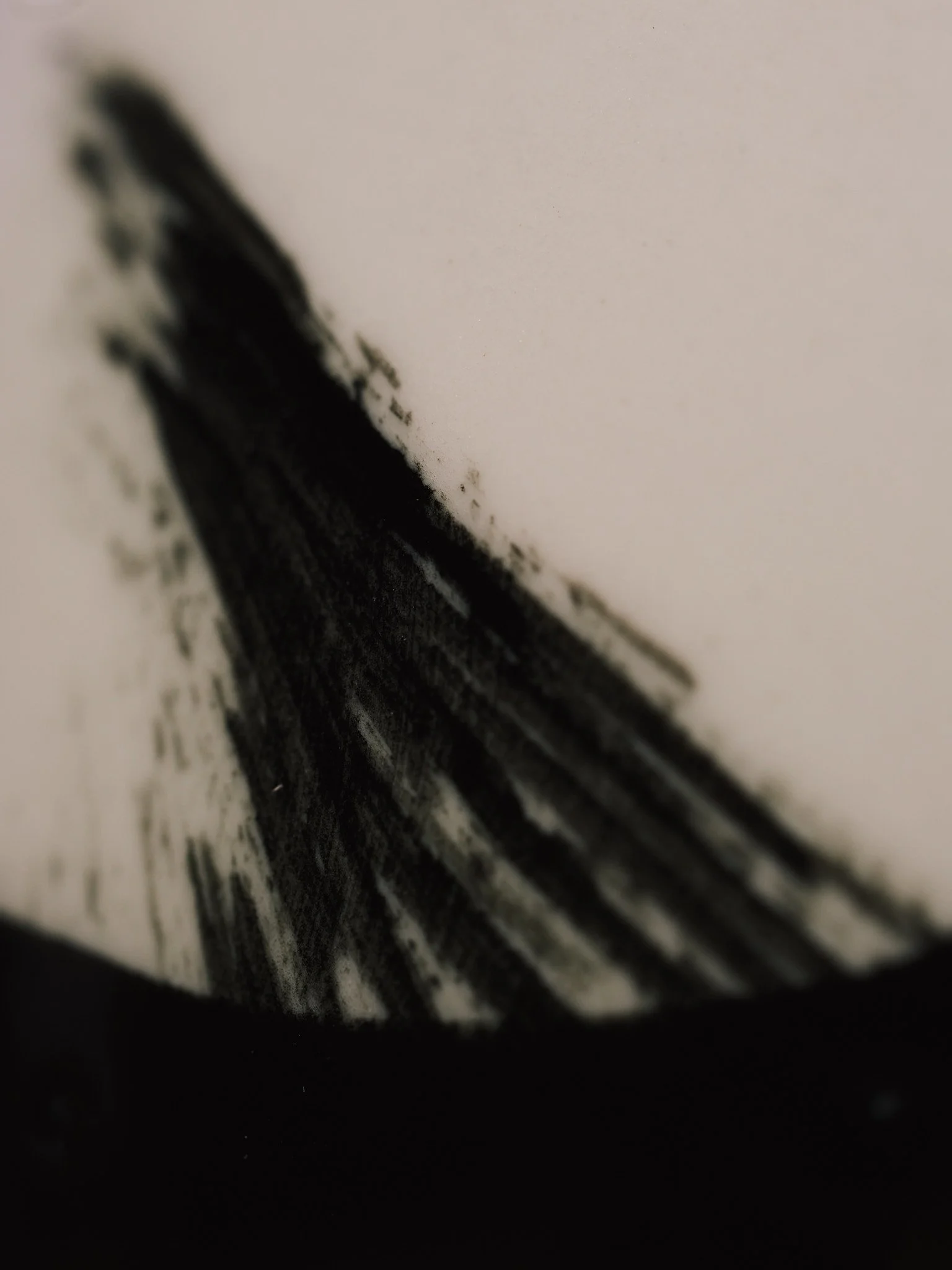 L1003367.jpg