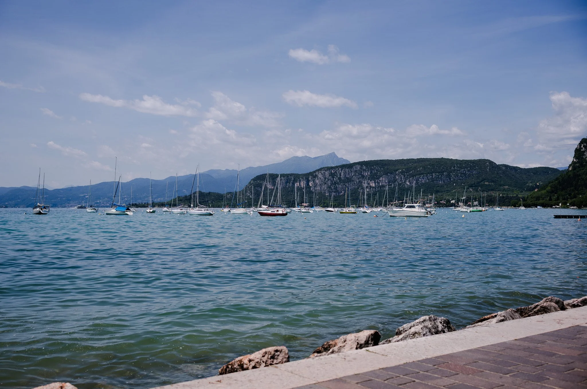 L1008690.jpg