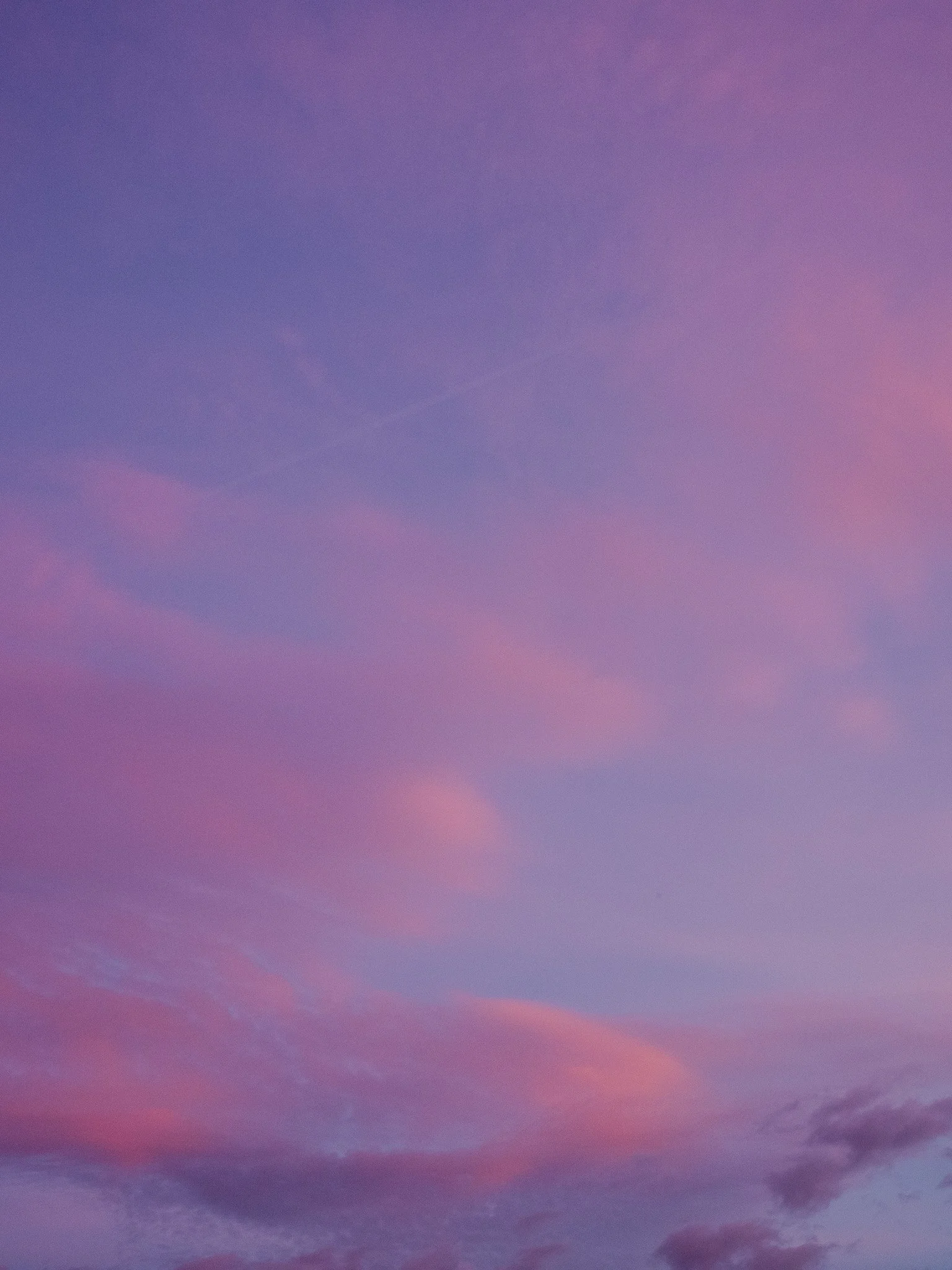 L1008713.jpg