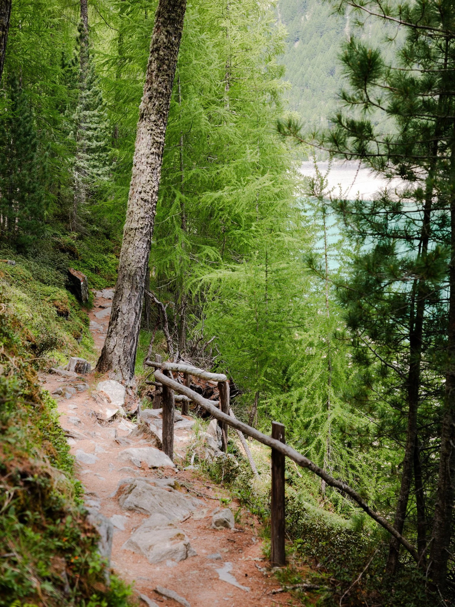 L1000956.jpg