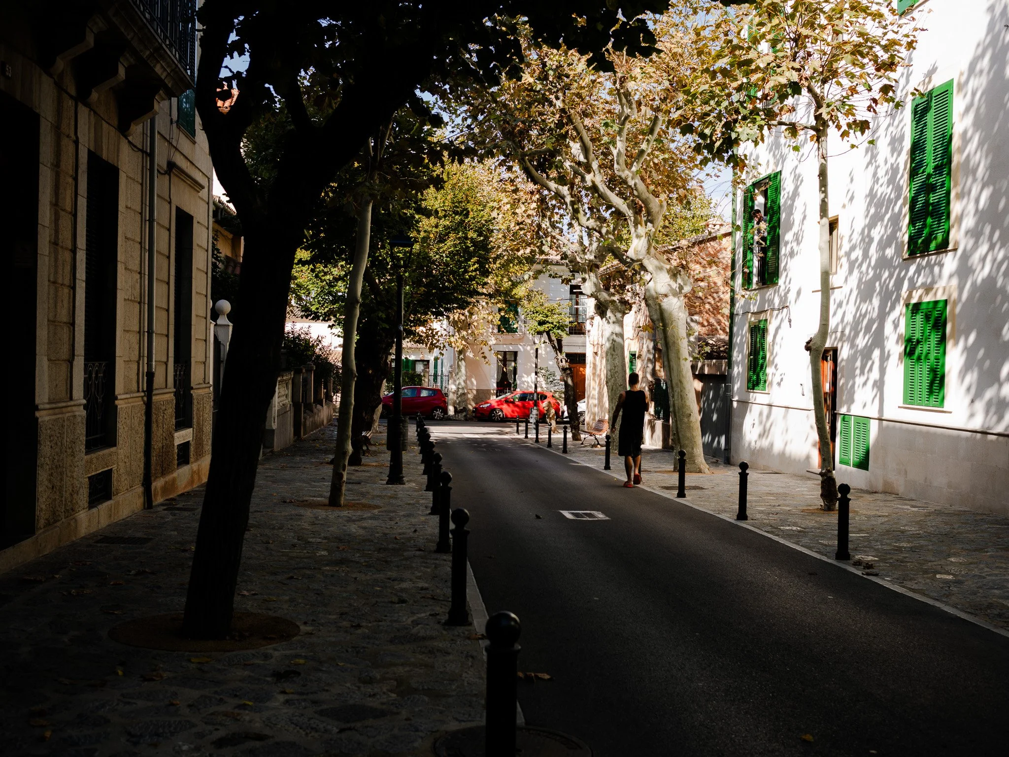 L1008641.jpg