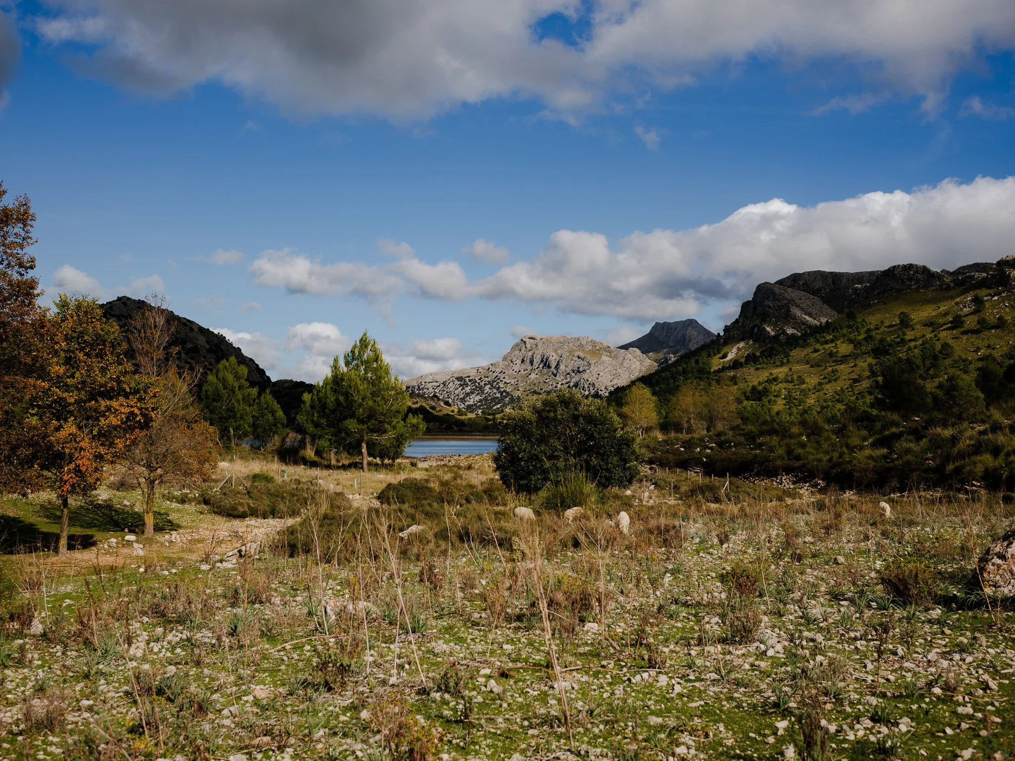 L1008876.jpg
