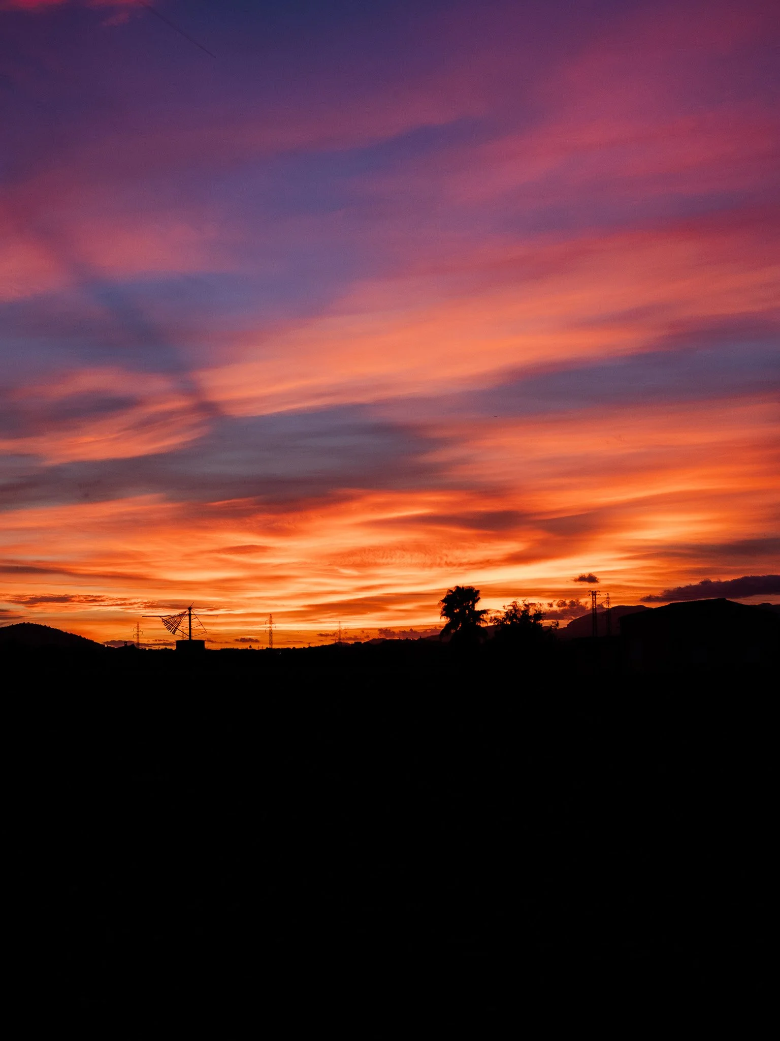 L1008714.jpg