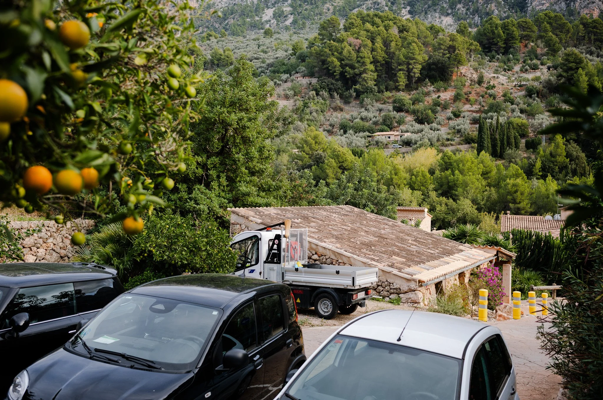 L1008694.jpg