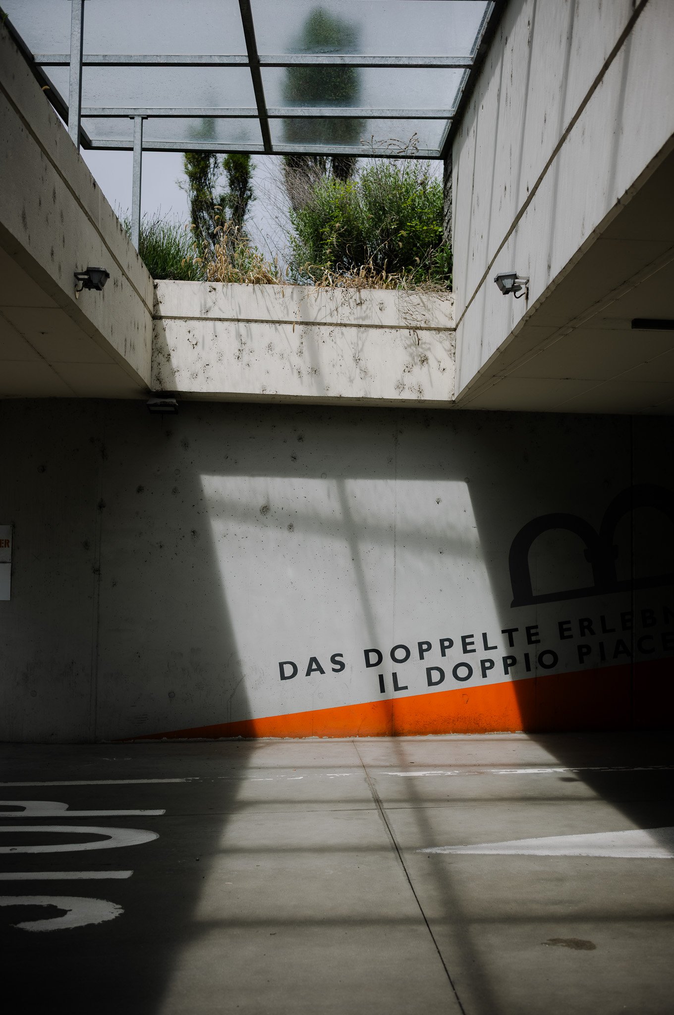 L1002612.jpg