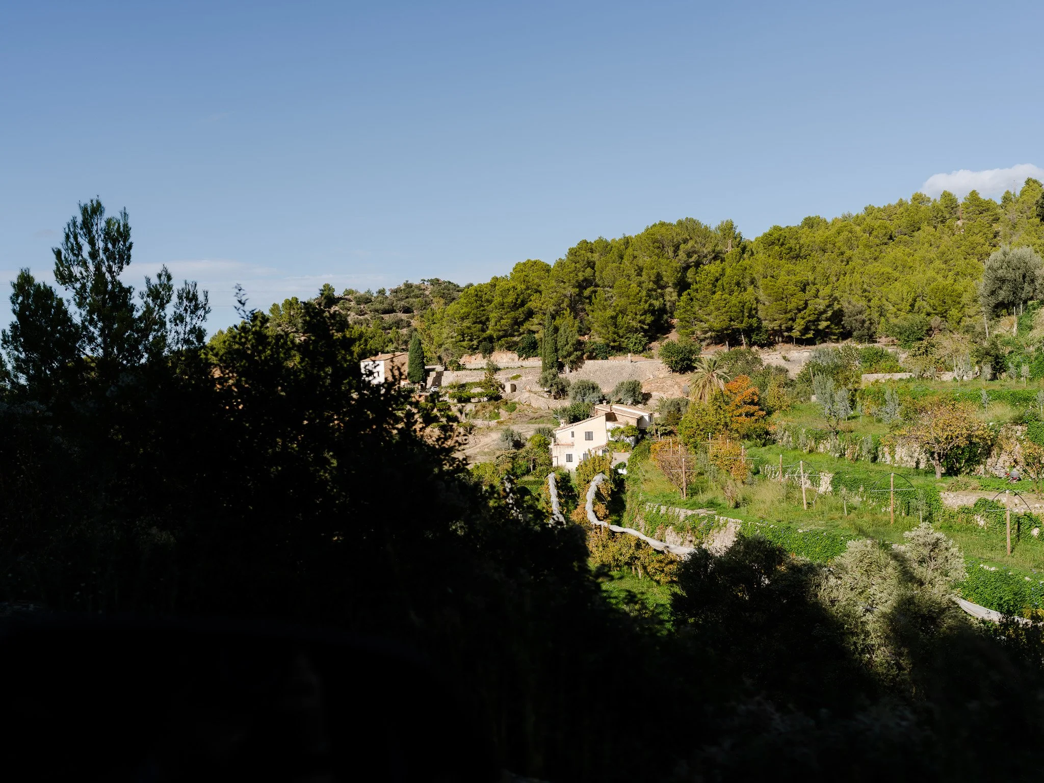 DSC04112.jpg