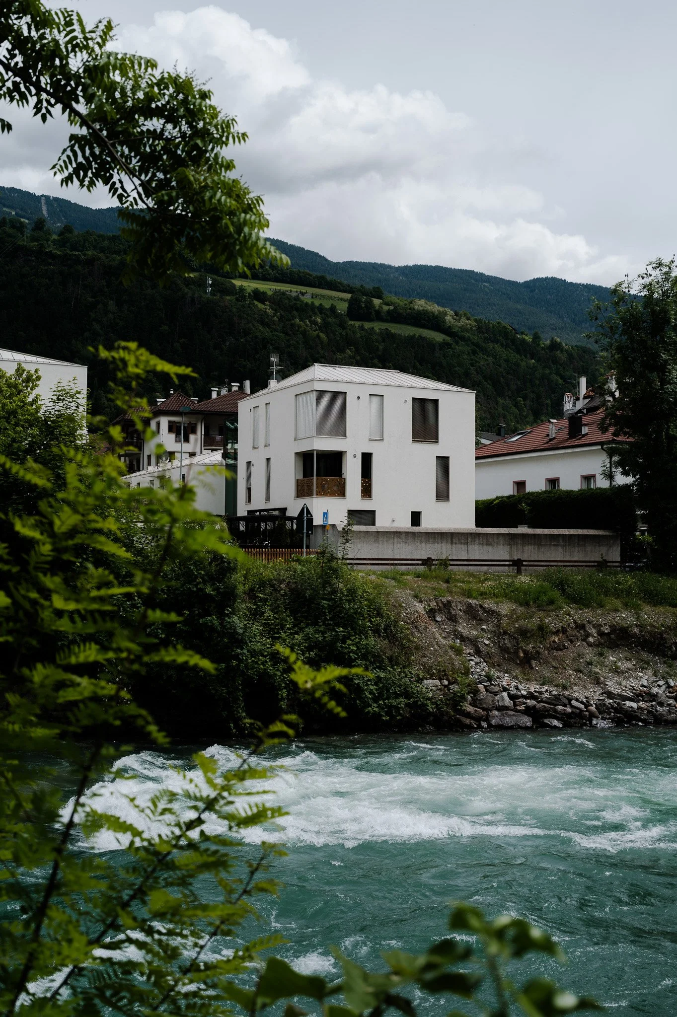 L1009105.jpg