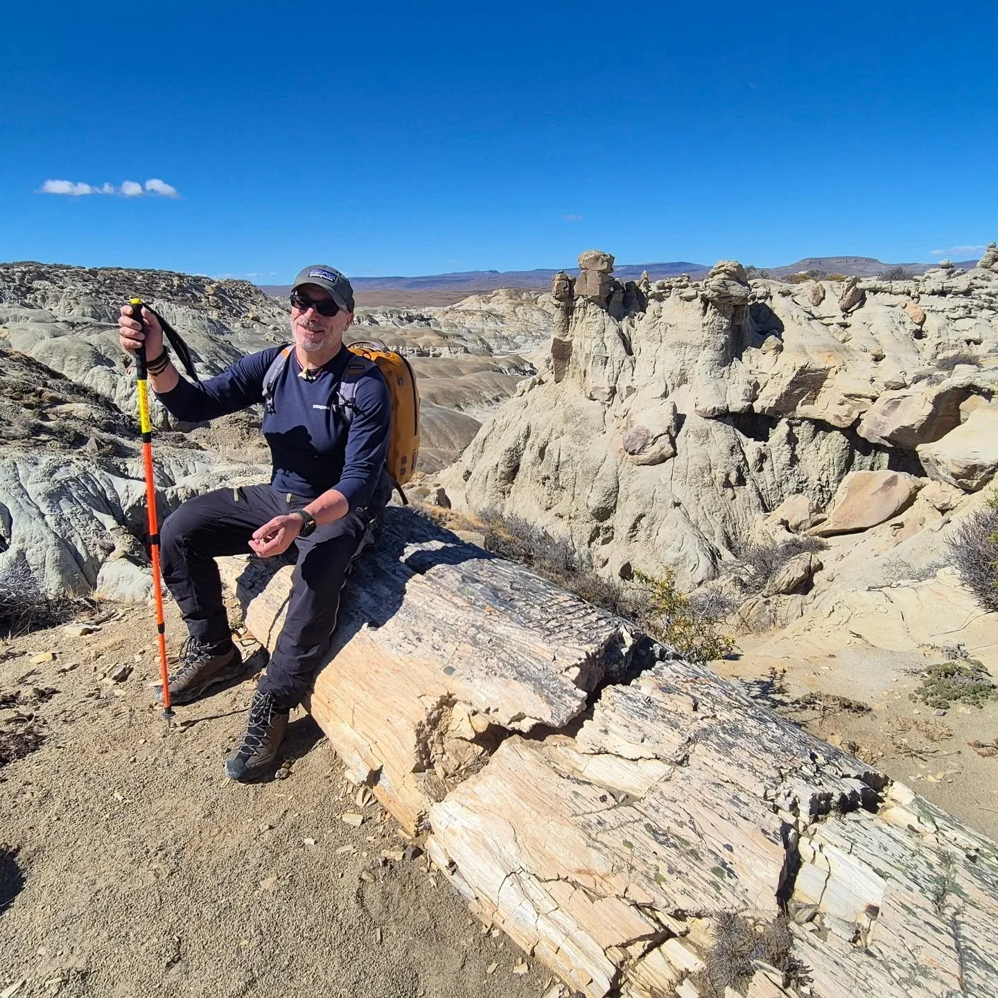 #viaggiconleguideslowtour #slowtour #toptravelteam #patagonia 🇦🇷 #bosquepietrificado