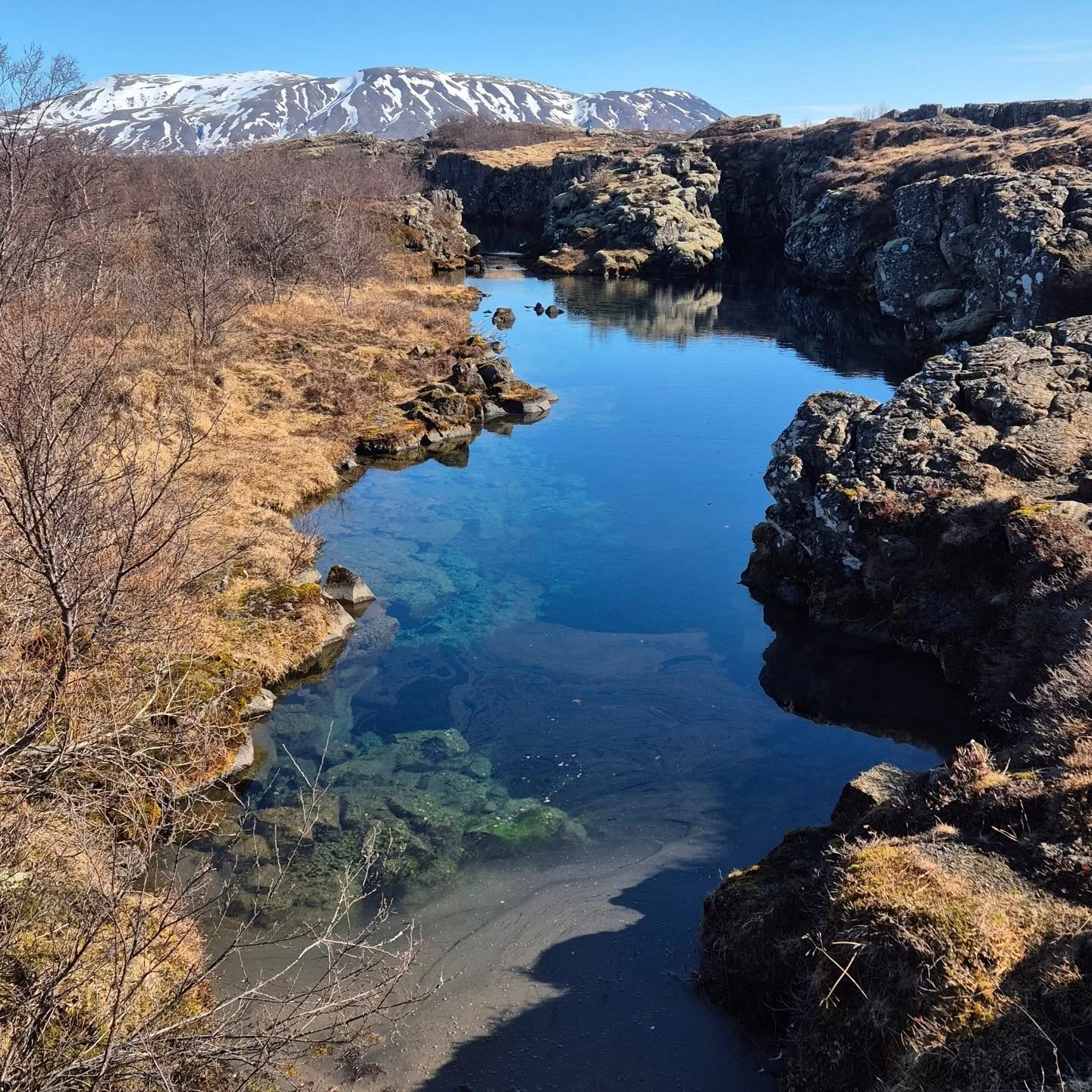 #Islanda 🇮🇸 #&thorn;ingvellir #viaggiconleguideslowtour #slowtour #toptravelteam