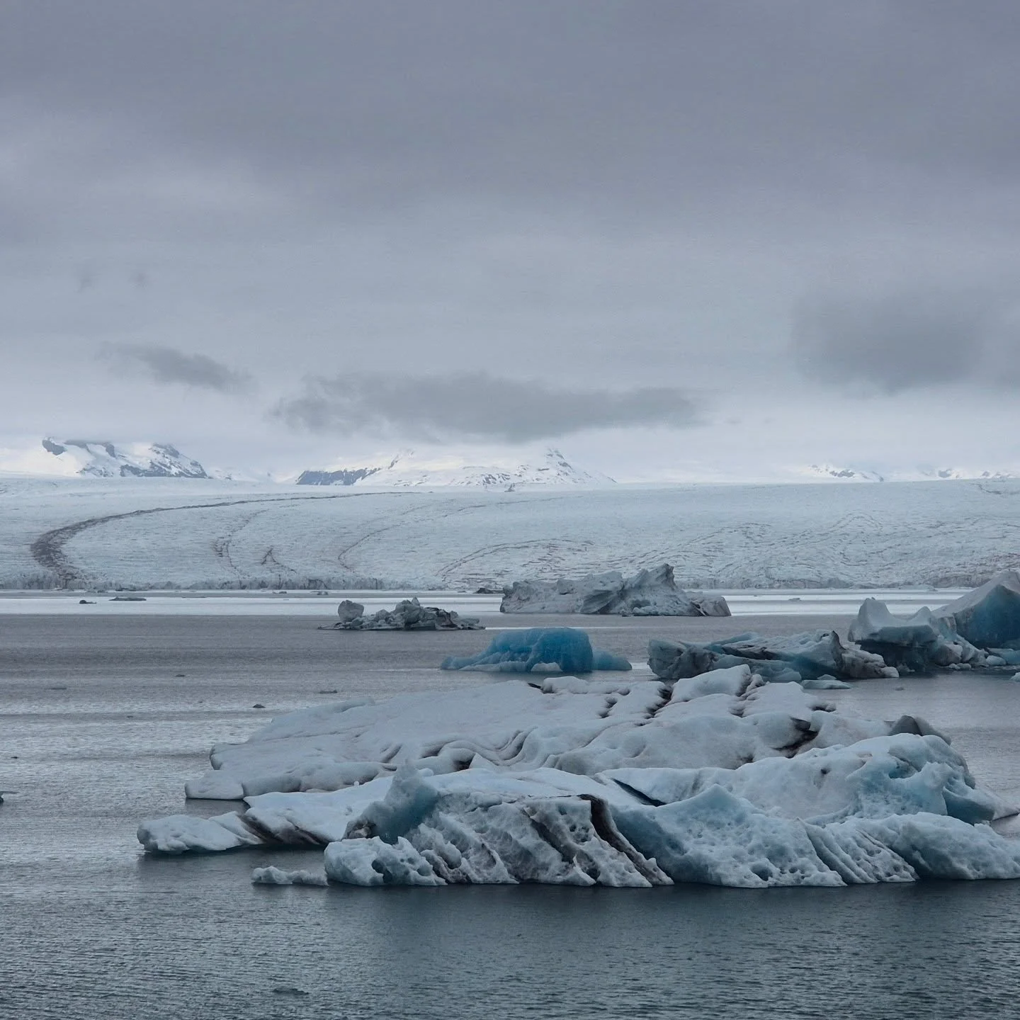 #iceland 🇮🇸 #jokulsarlon #viaggiconleguideslowtour #slowtour #toptravelteam