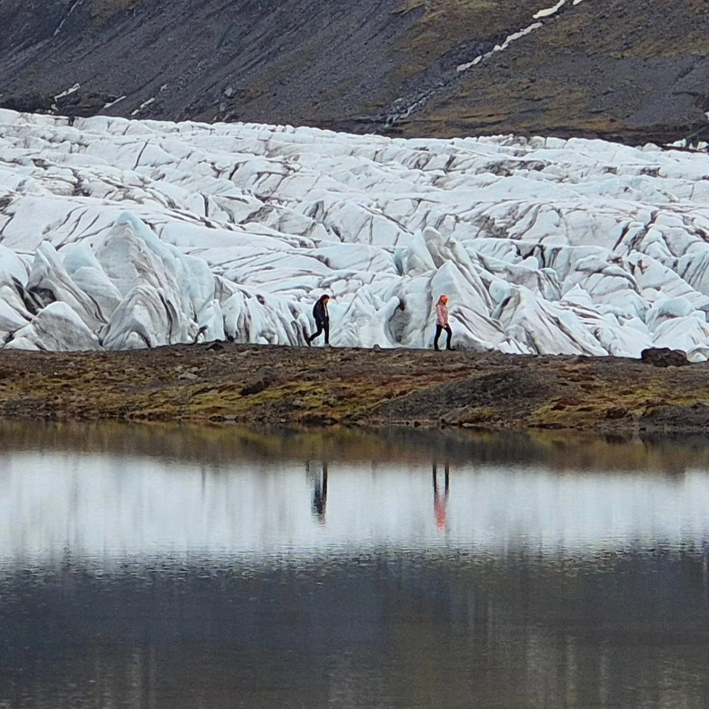 #islanda 🇮🇸 #svinafellsjokull #viaggiconleguideslowtour #slowtour #toptraveltean