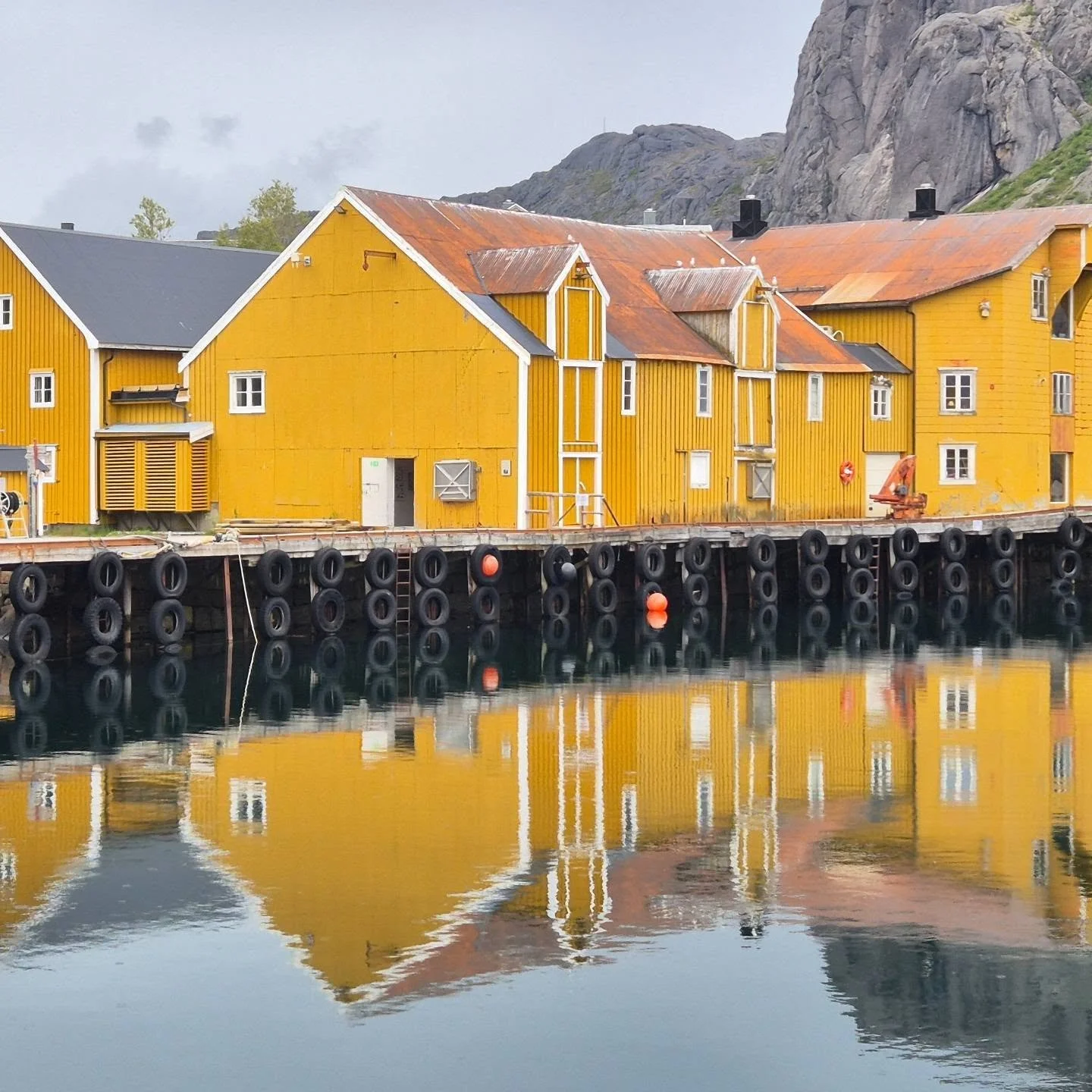 #viaggiconleguideslowtour #slowtour #toptravelteam #lofoten 🇸🇯