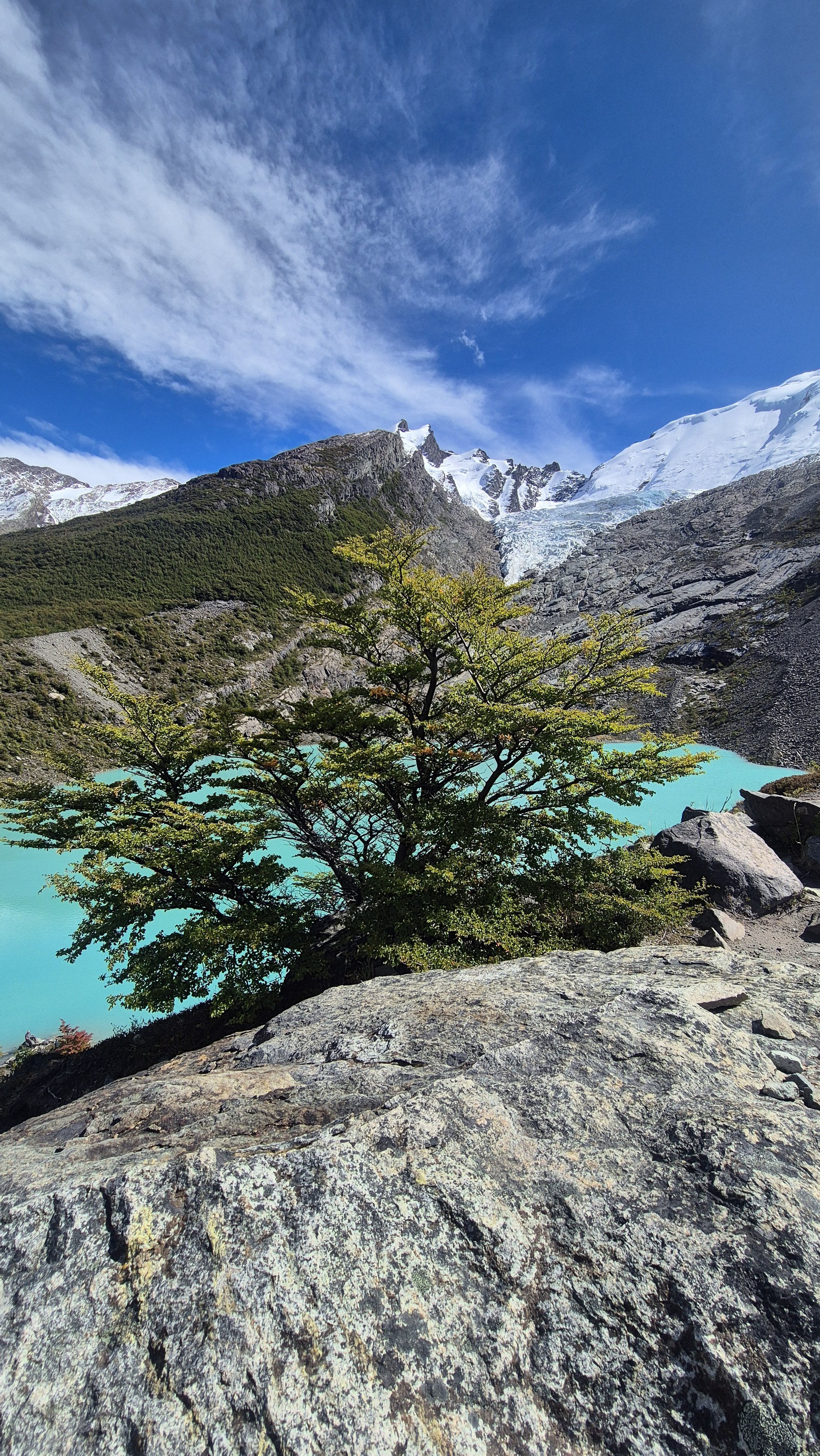 Laguna Huemul - Lago del Desierto