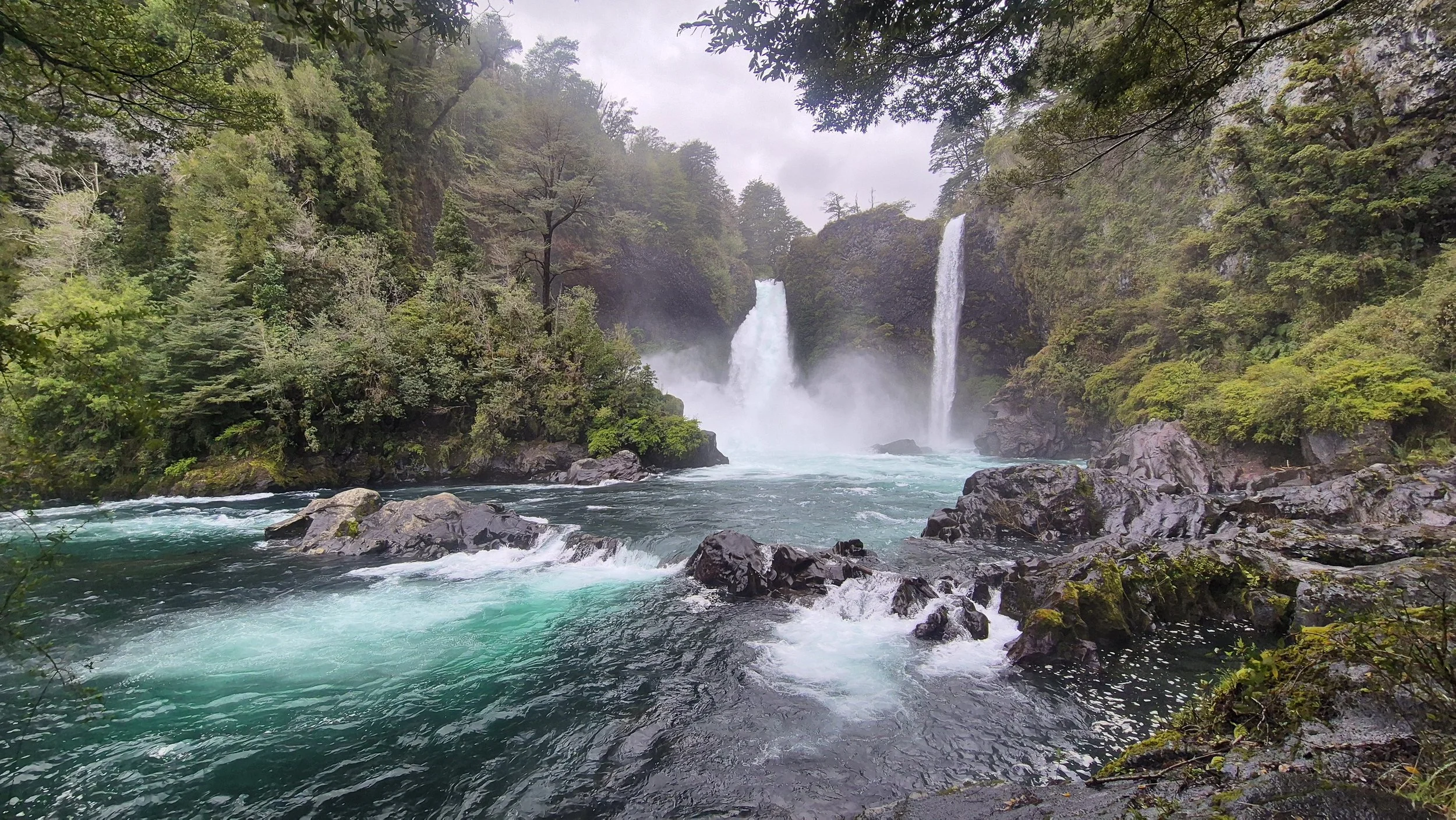 Riserva naturale di Huilo Huilo
