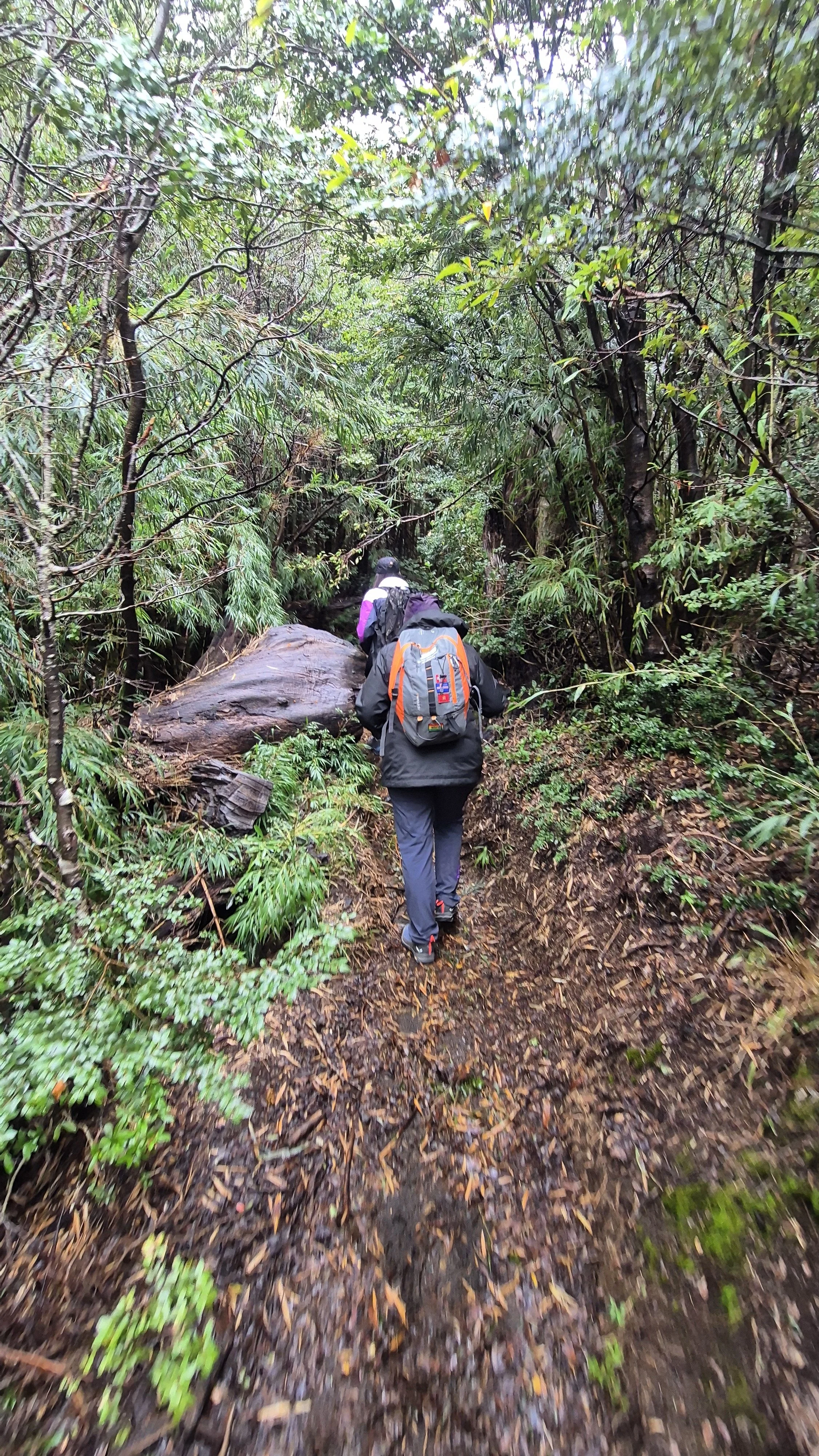 Trekking ai crateri parassiti