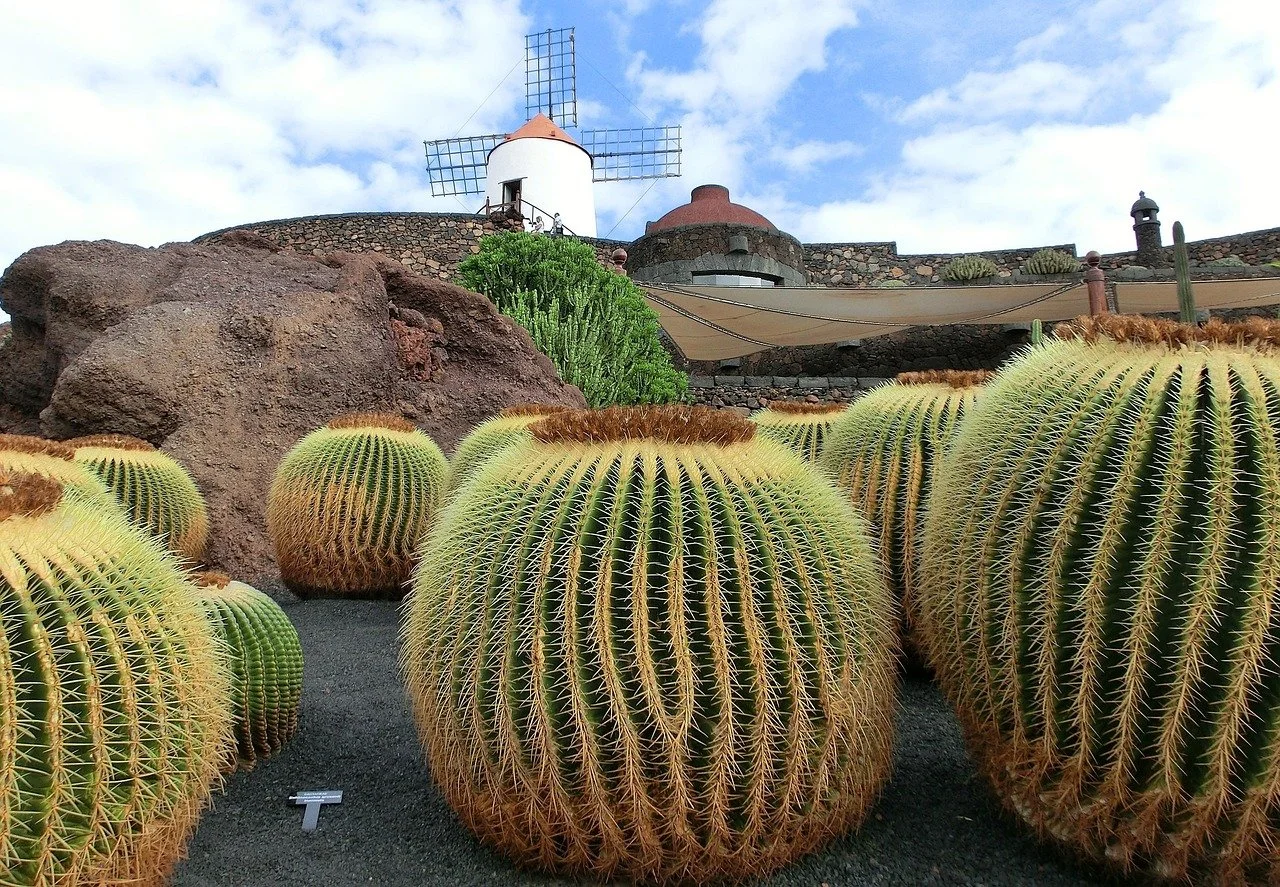 Isole Canarie isola di Lanzarote