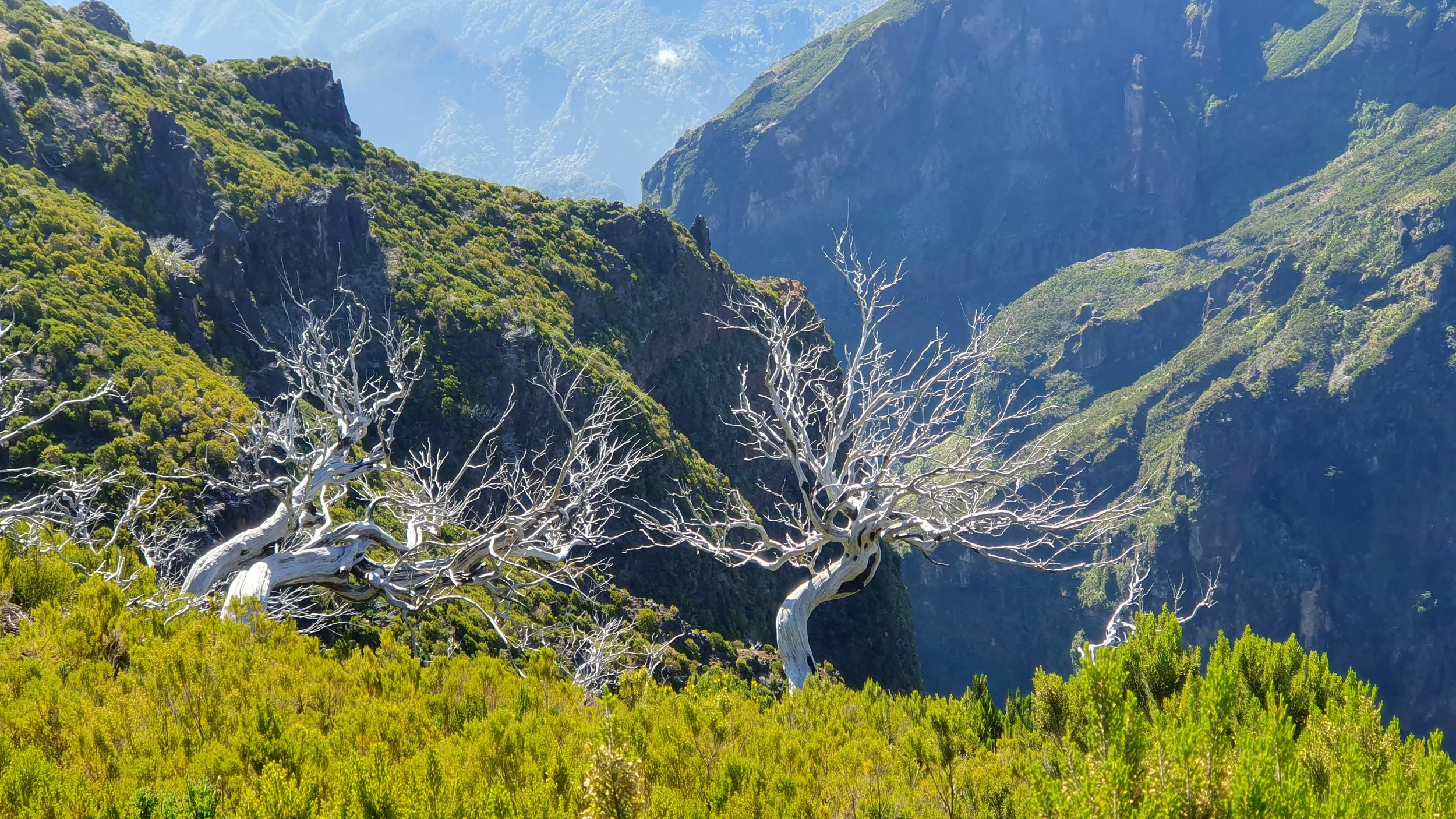 Salita a Pico Ruivo Madeira