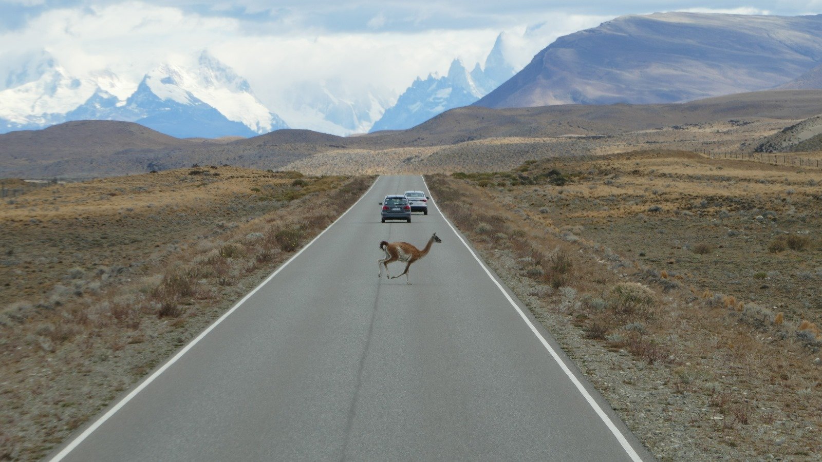 Patagonia strada verso El Chalten