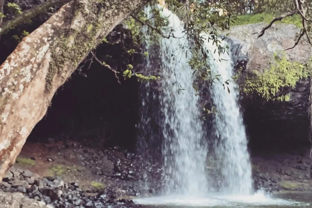 Learning to listen to your body’s YES and NO.