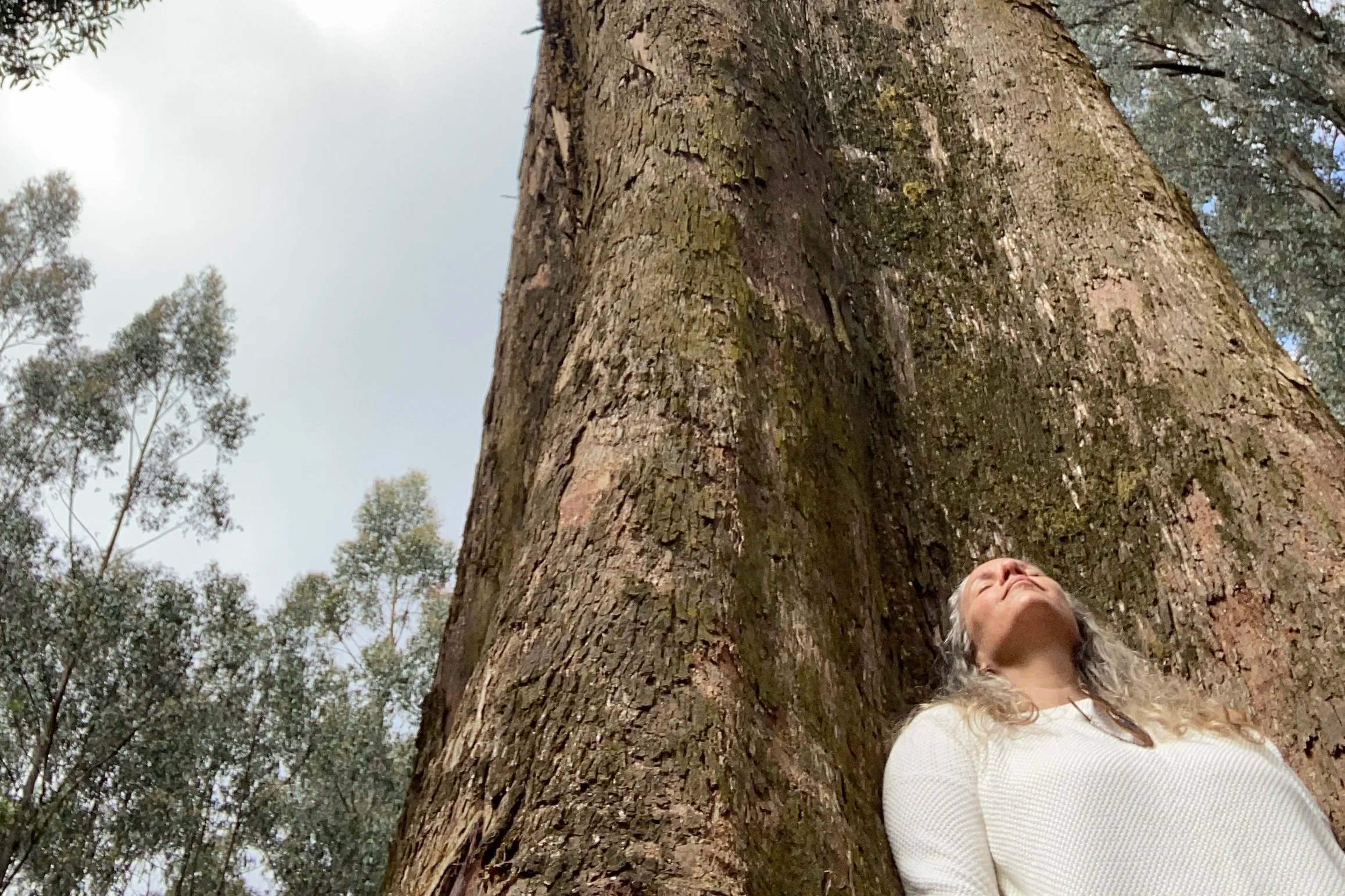 FREE Grounding Meditation