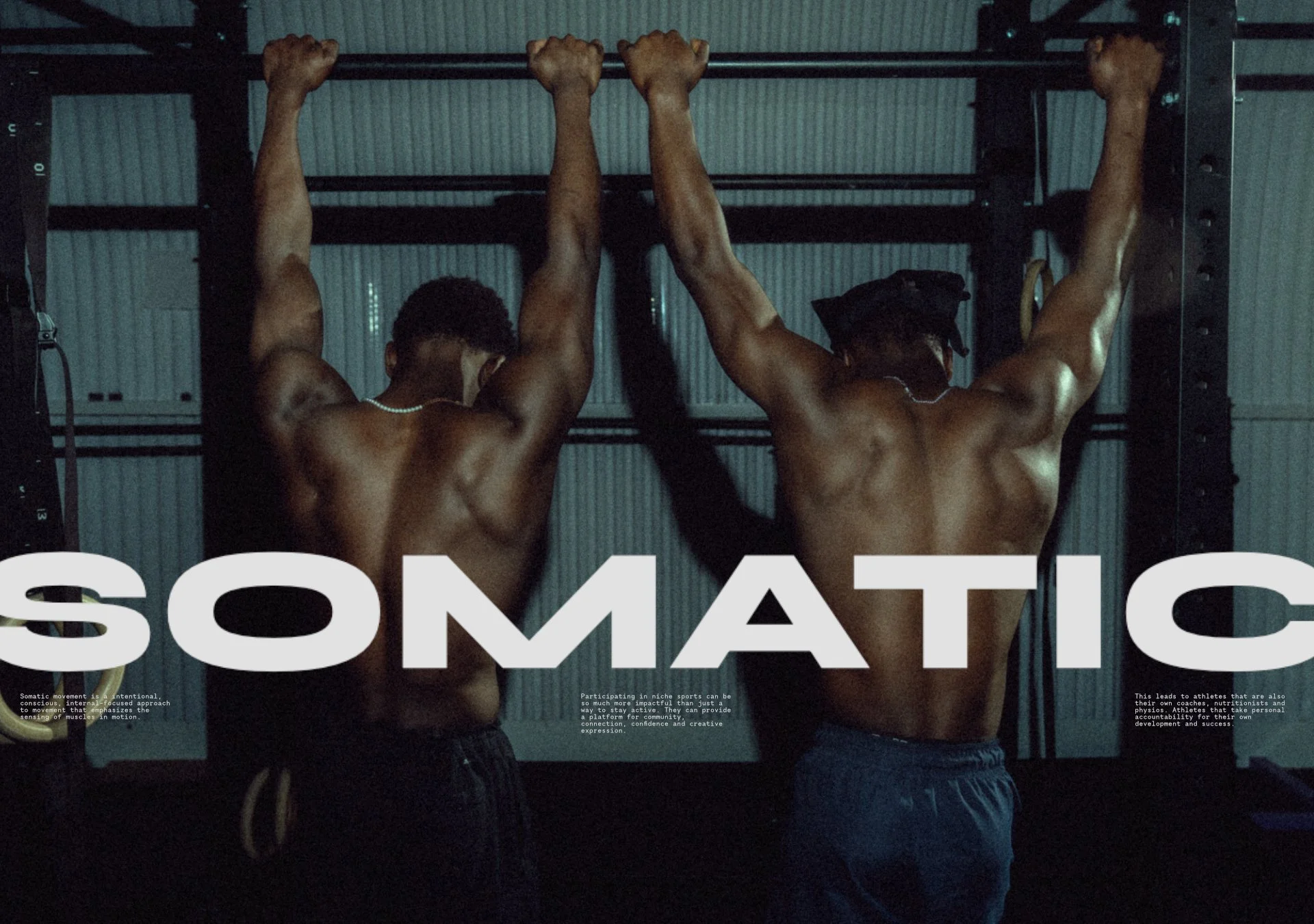Somatic landscape poster.jpg