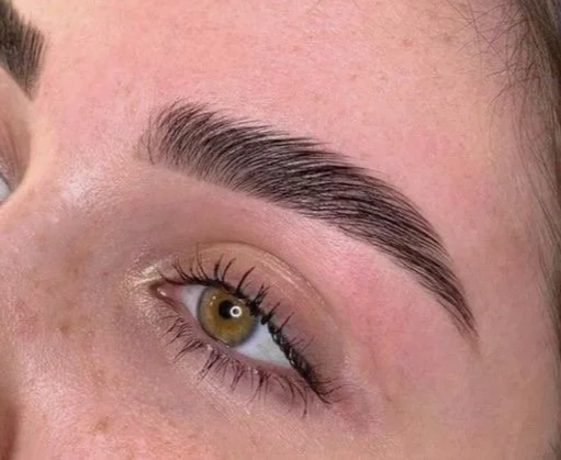 Close-up of a person's eye and well-groomed eyebrow.