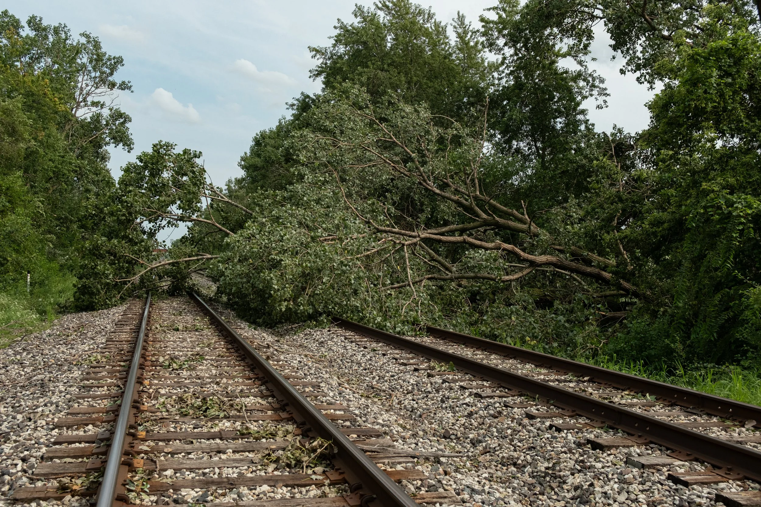 Fallen trees lay across train tracks in Munster, Ind., on Wednesday, Aug. 13, 2026.