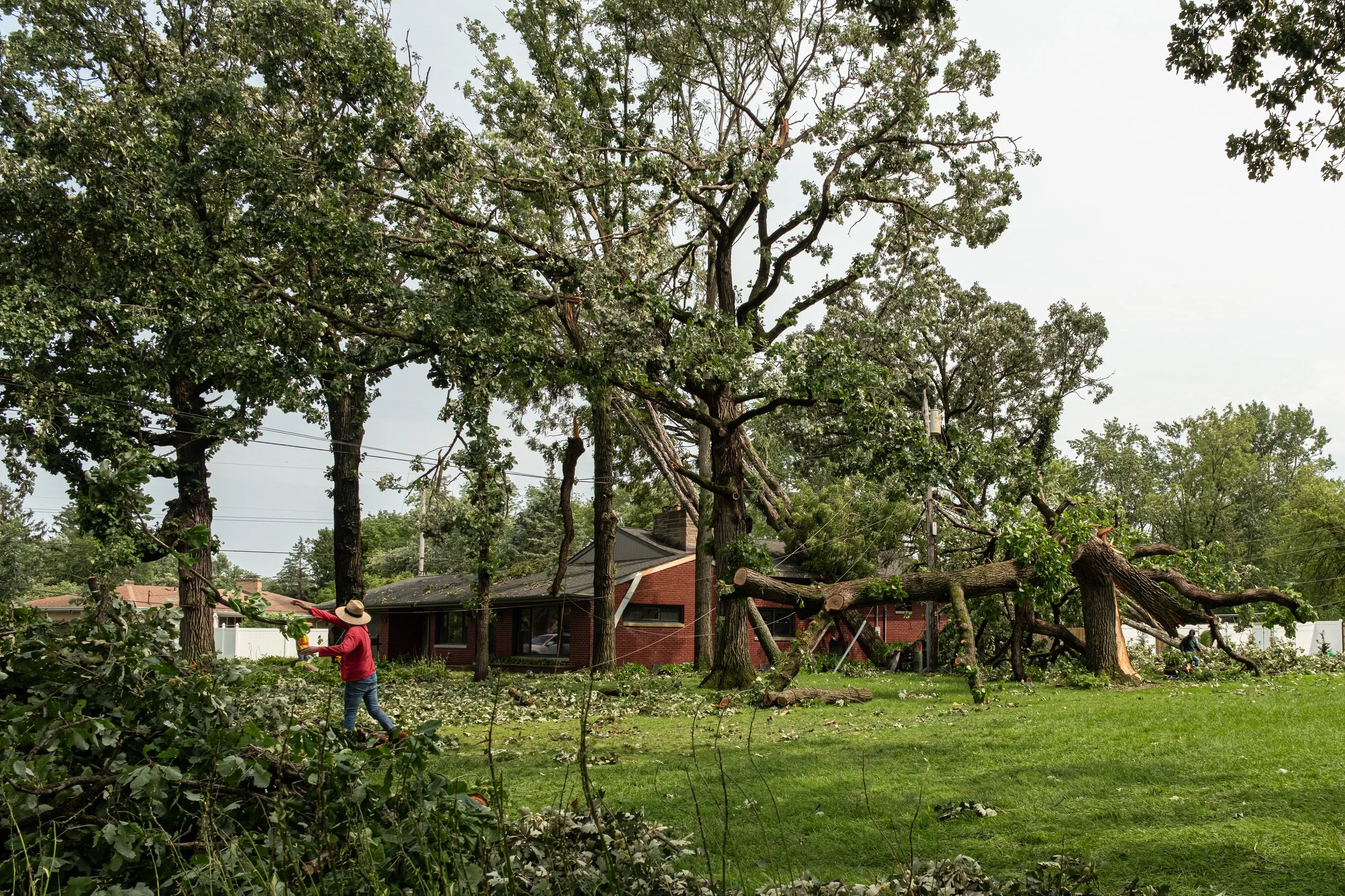 Private contractors work to clear the yard of a home in Munster, Ind., on Wednesday, Aug. 12, 2026.