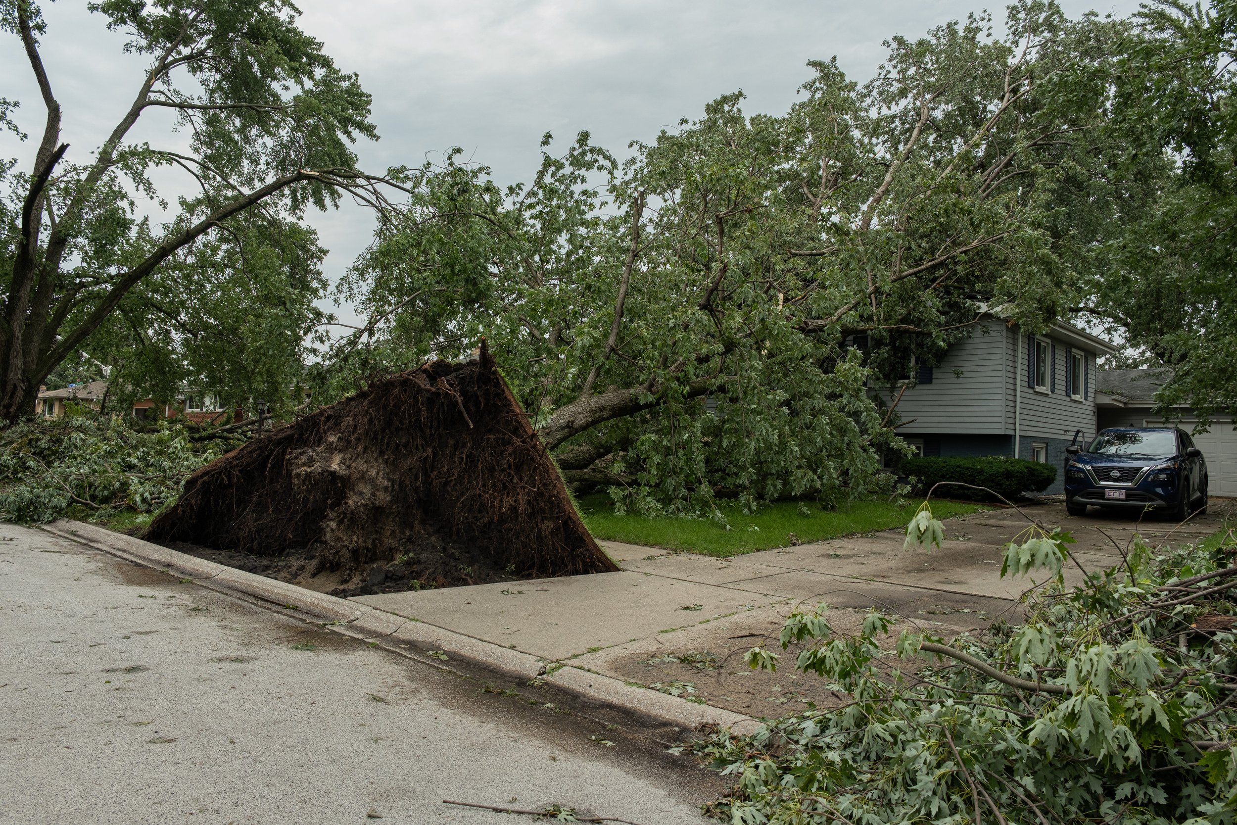 The roots of a fallen tree are exposed after heavy storm damage in Munster, Ind., on Wednesday, Aug. 12, 2026.