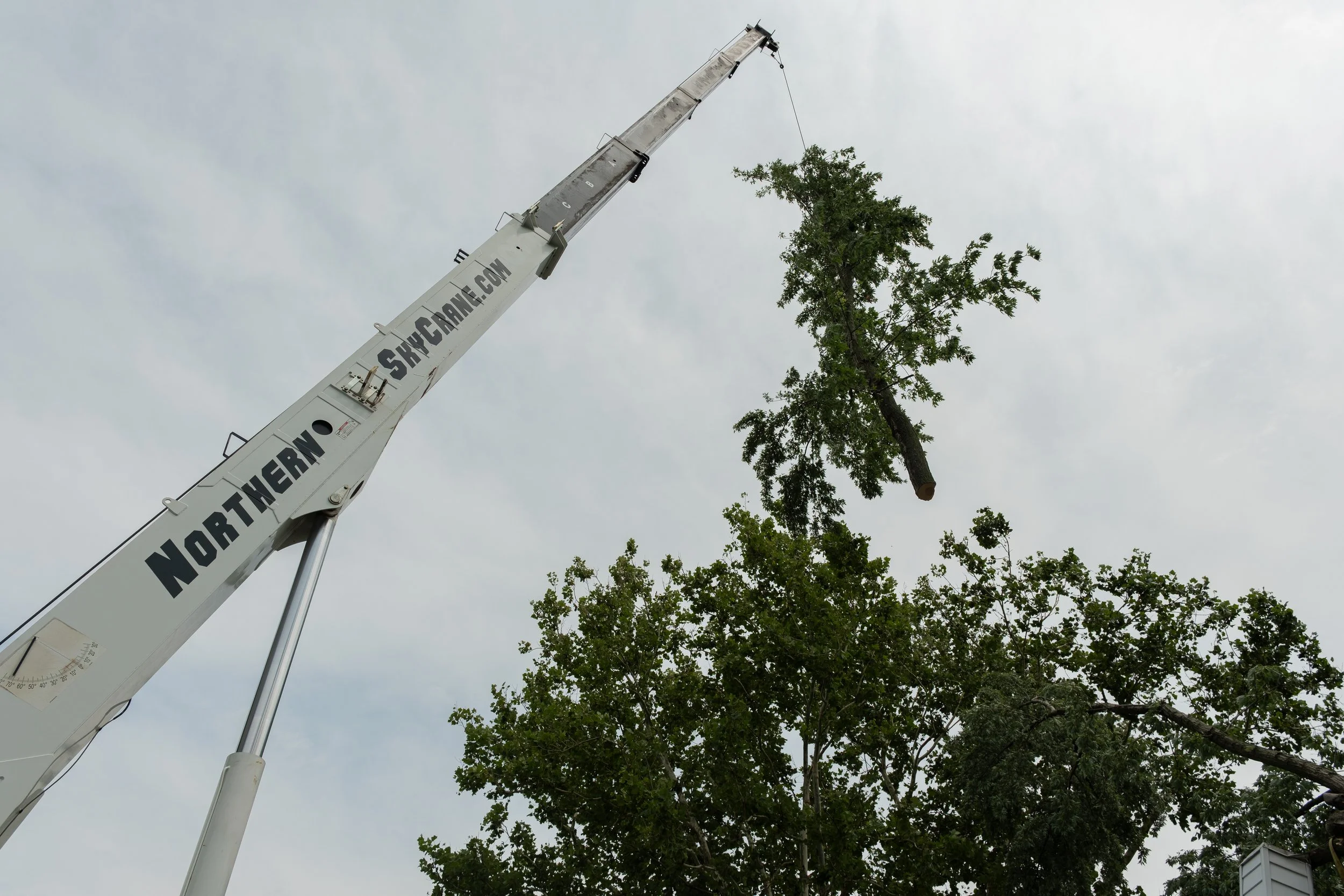 The cut branch is then lifted off the house on Calument Avenue in Munster, Ind., and set down in the driveway using a crane on Wednesday, Aug. 12, 2026.
