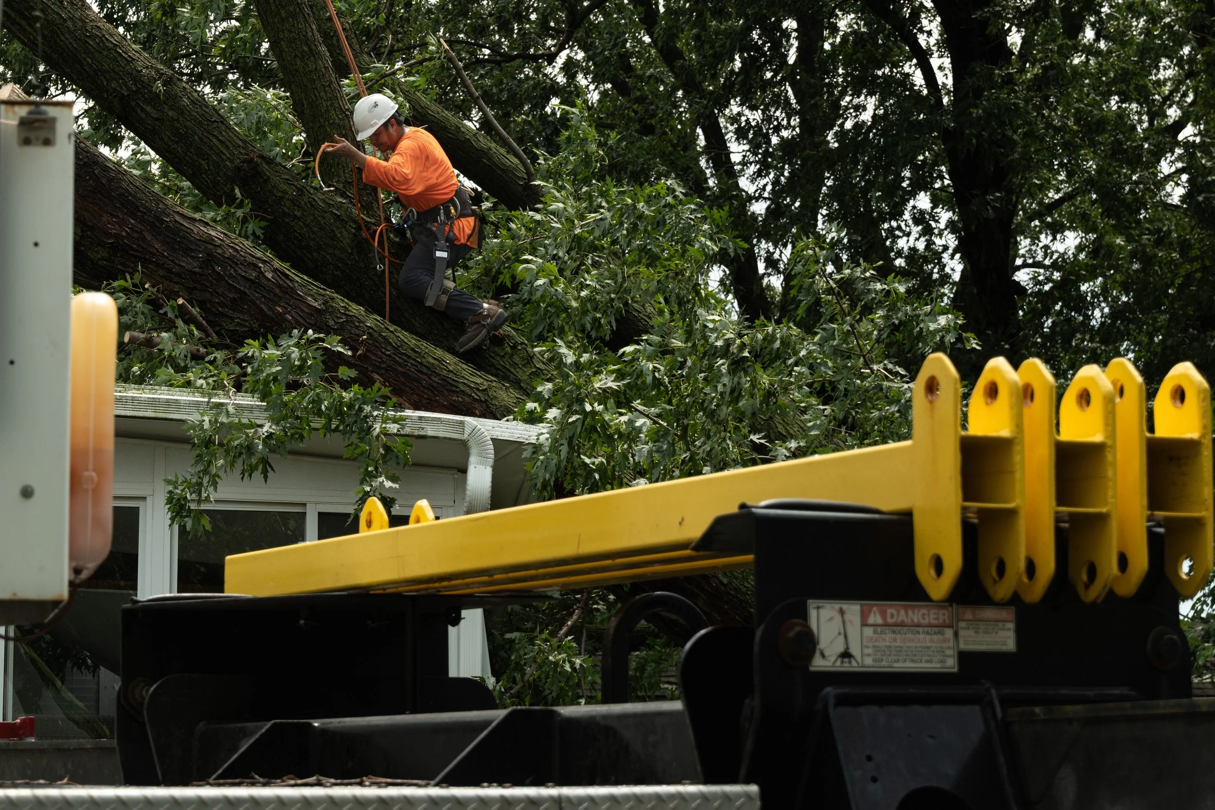 Jose Malaton, who works for Buena Vista Tree Service, climbs up a tree that crashed into a home on Calumet Avenue in Munster, Ind., on Wednesday, Aug. 12, 2026.