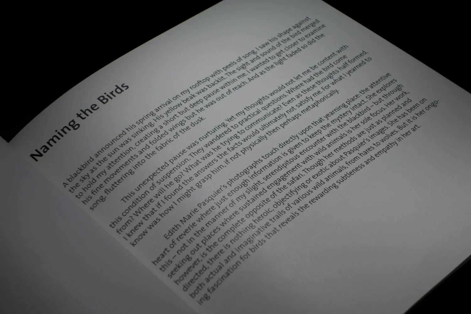 books-11.webp