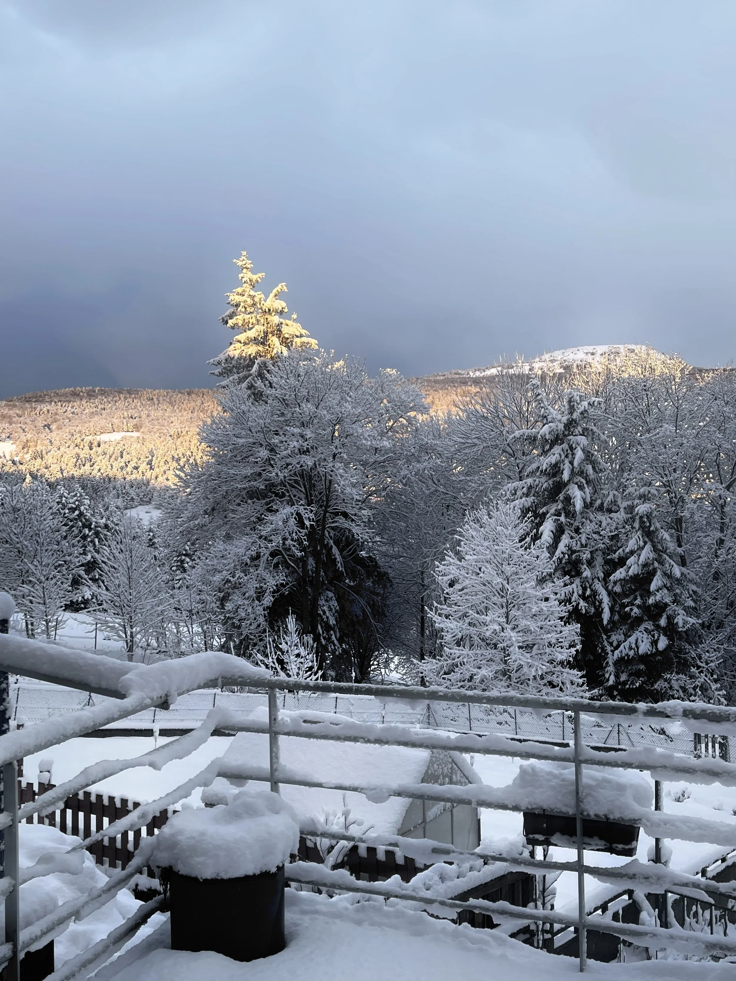 Vue de paysage enneigé avec des arbres couverts de neige, un ciel nuageux, et une barrière en métal recouverte de neige dans le premier plan